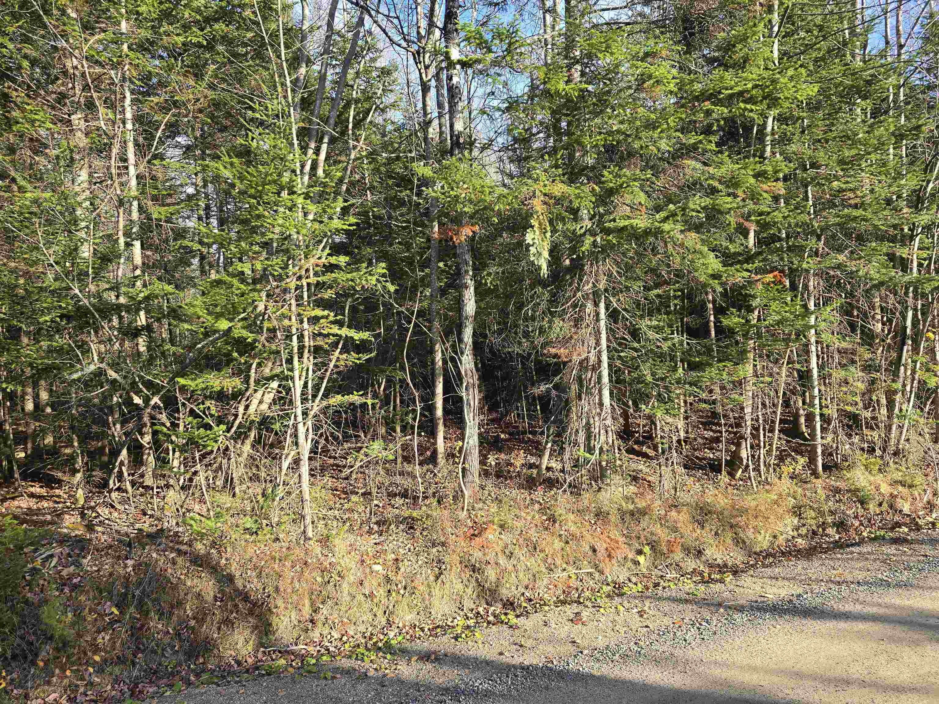 0 Hawkins Rd, Dummer, NH 03588