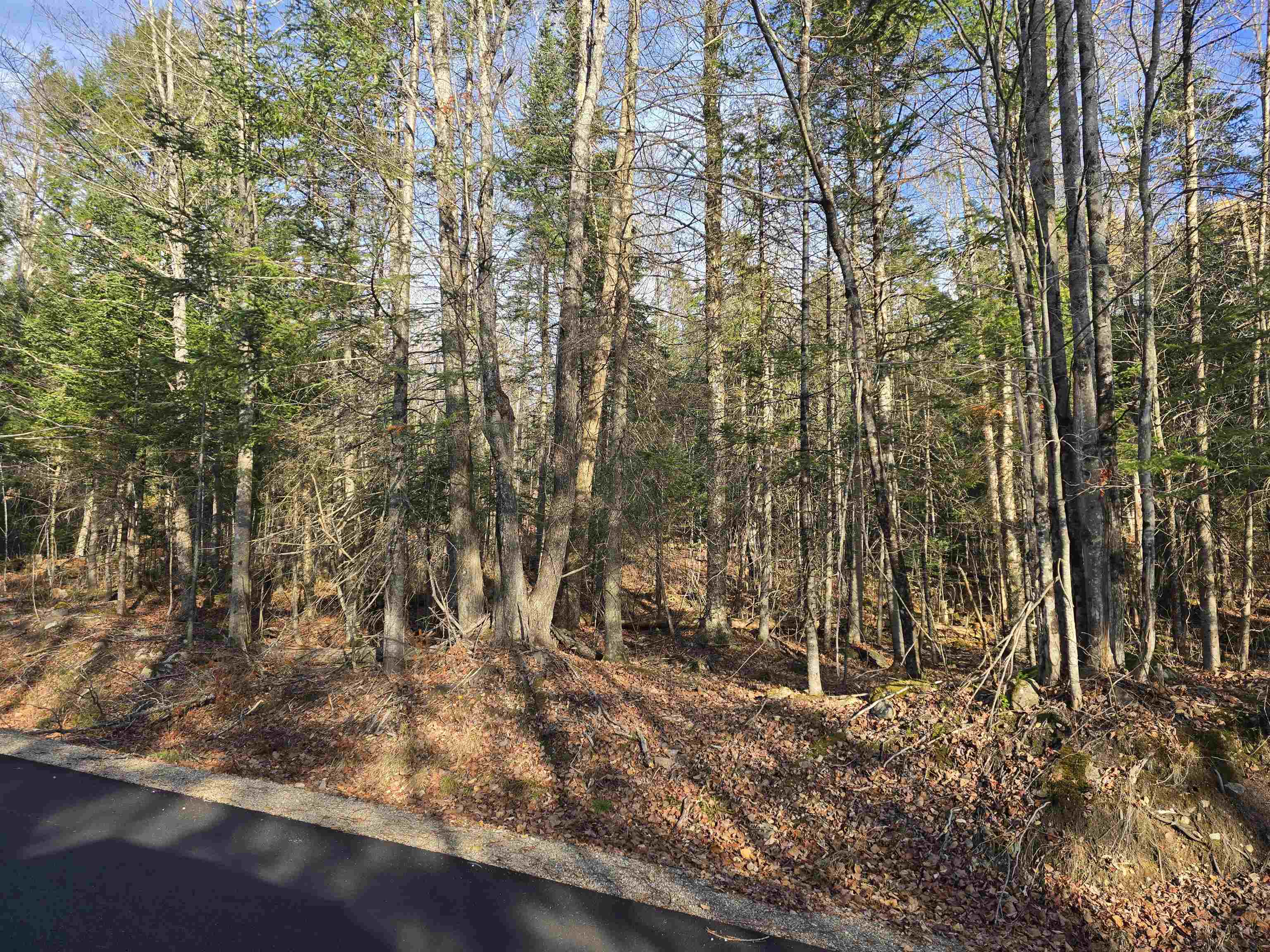 Hawkins Rd, Dummer, NH 03588