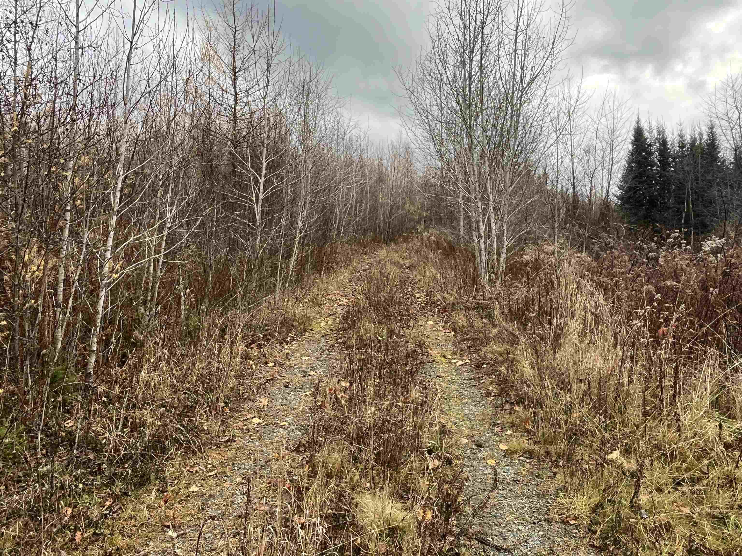 19 Great Rock Rd, Lancaster, NH 03584