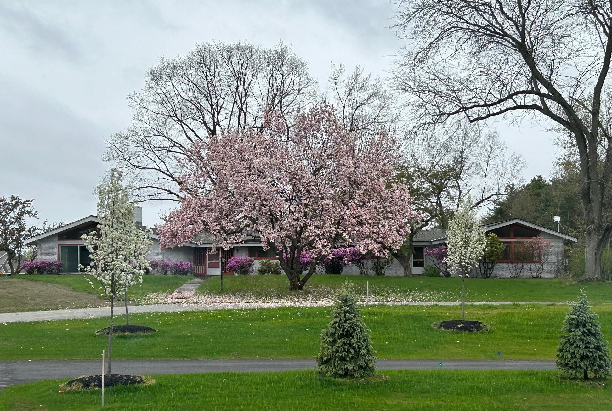 19 Bartlett Ave, Nashua, NH 03064