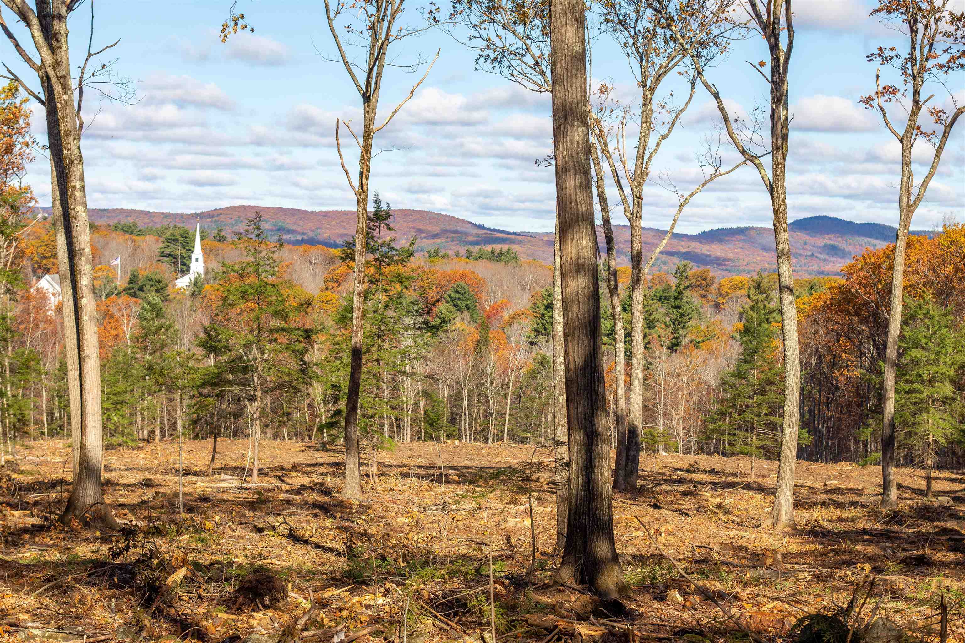 Dublin NH&nbsp;Land for sale $$450,000 | 15.5 Acres  | Price Per Acre $0  | Total Lots 2