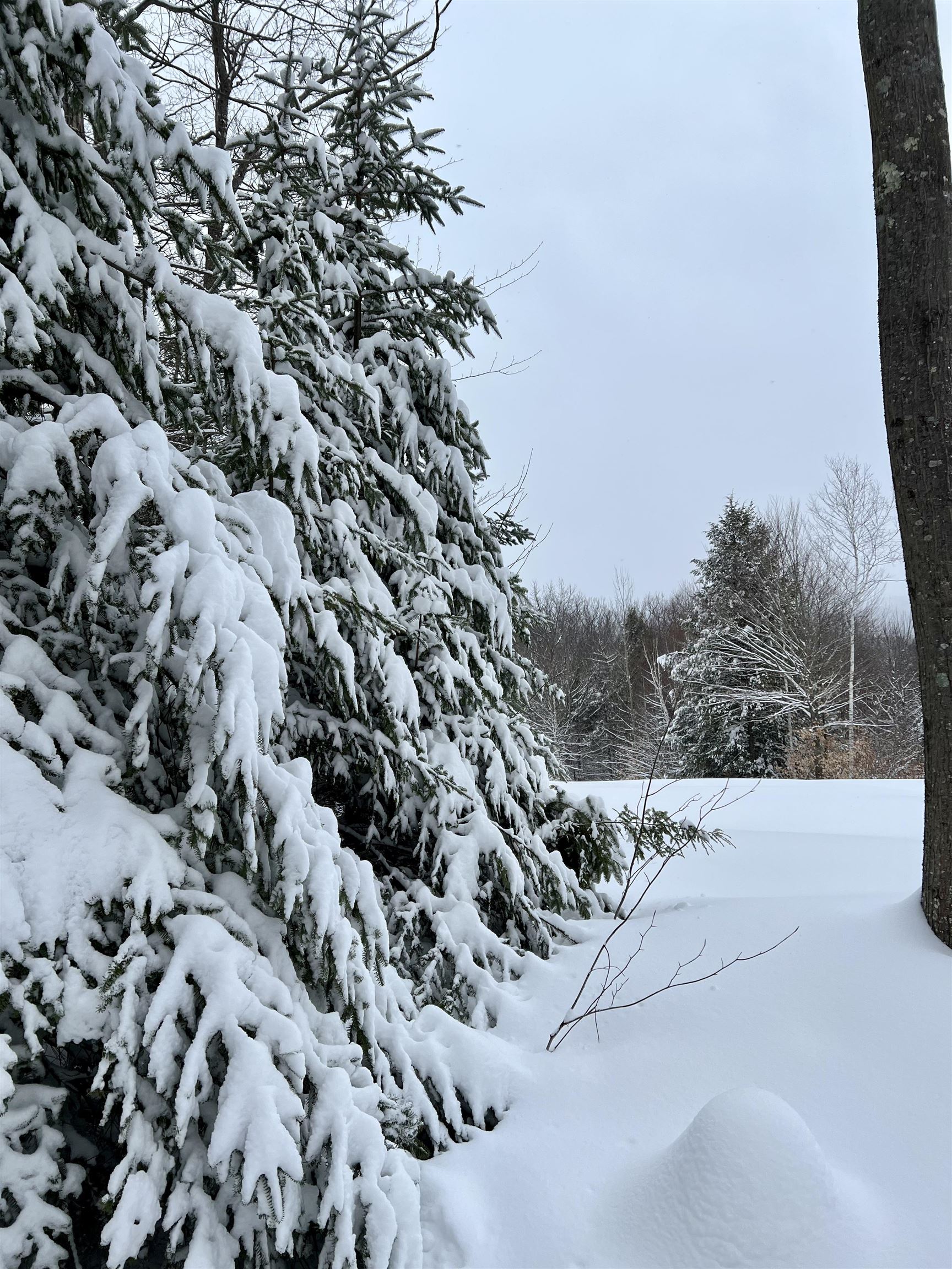 0 Oak Ridge Rd, Plymouth, NH 03264