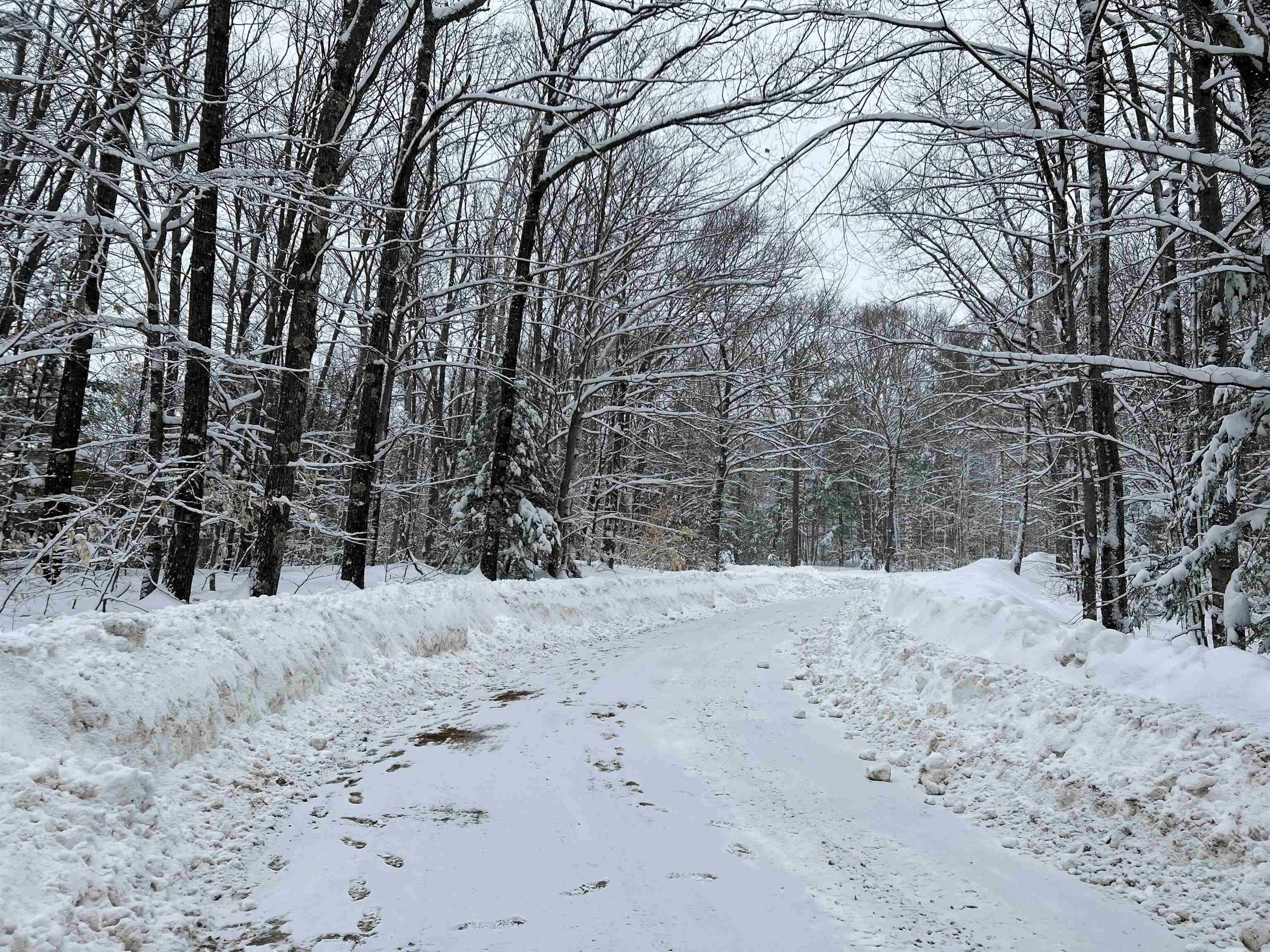 0 Oak Ridge Rd, Plymouth, NH 03264