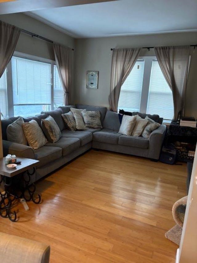 25 Burns Hill Rd, Wilton, NH 03086