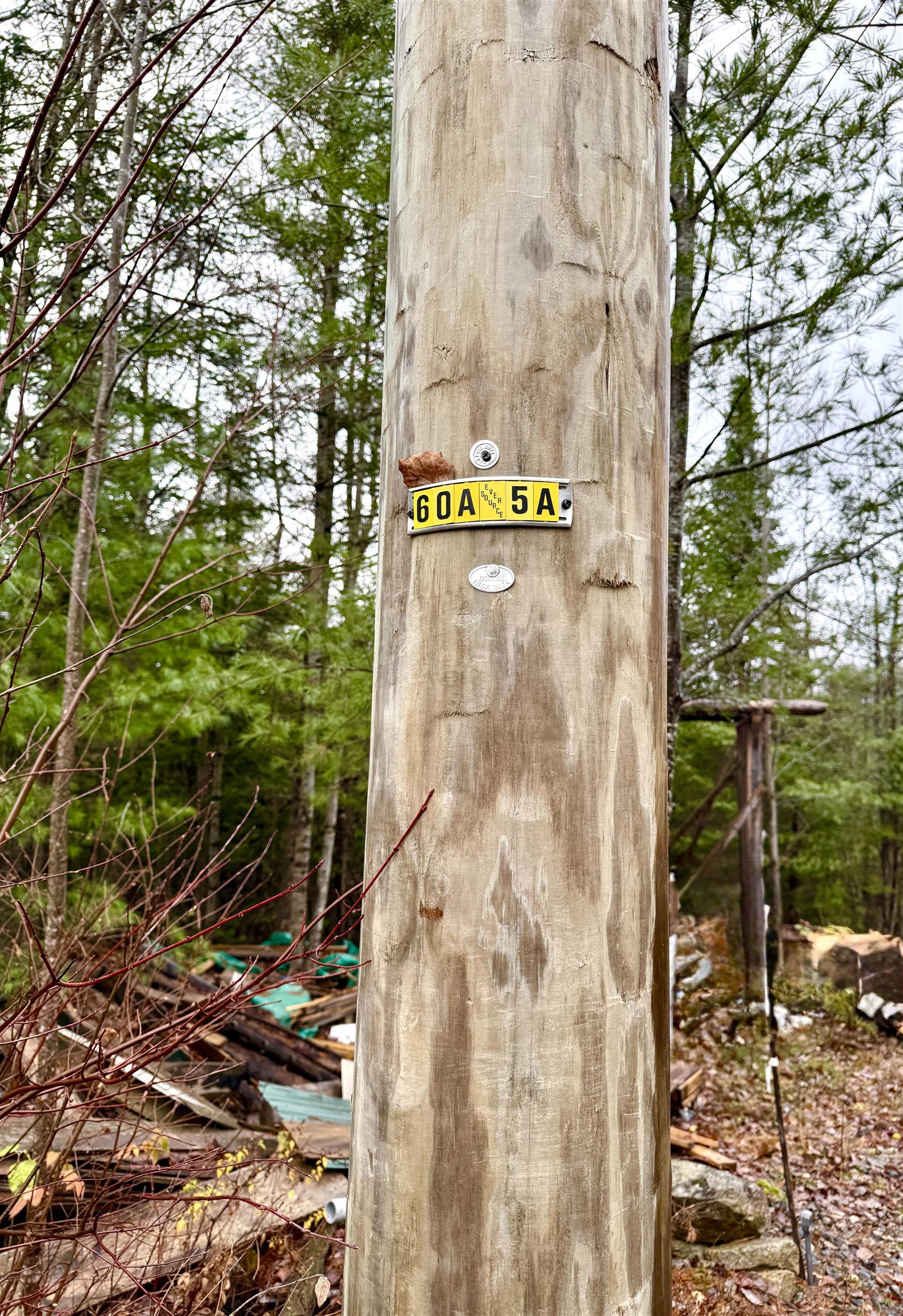 61 Thorn Hill Rd, Bethlehem, NH 03574