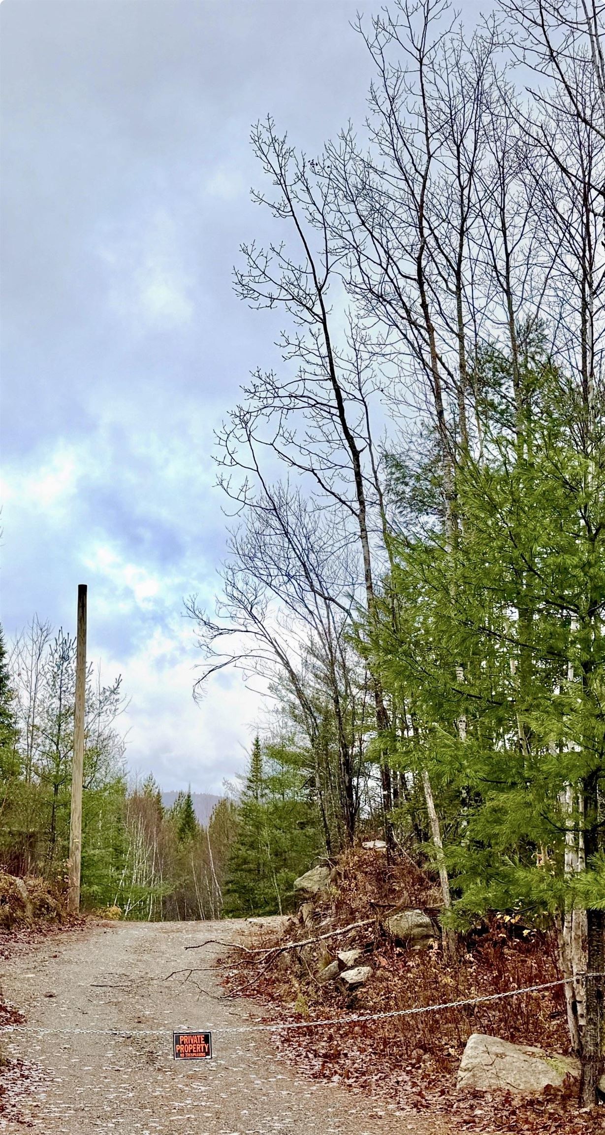 61 Thorn Hill Rd, Bethlehem, NH 03574