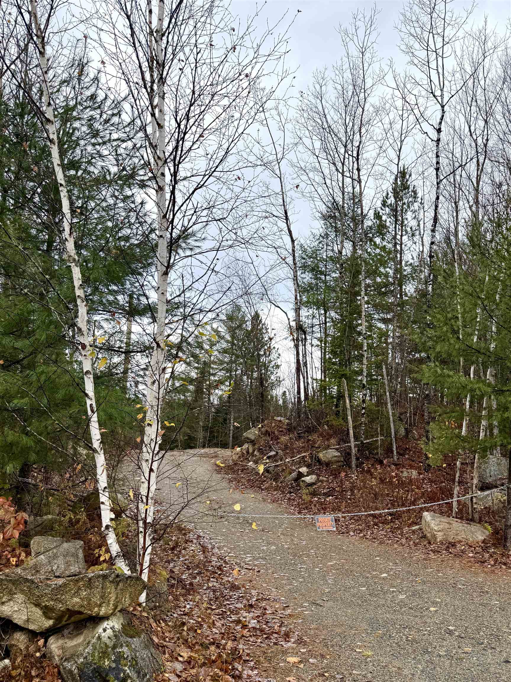 61 Thorn Hill Rd, Bethlehem, NH 03574