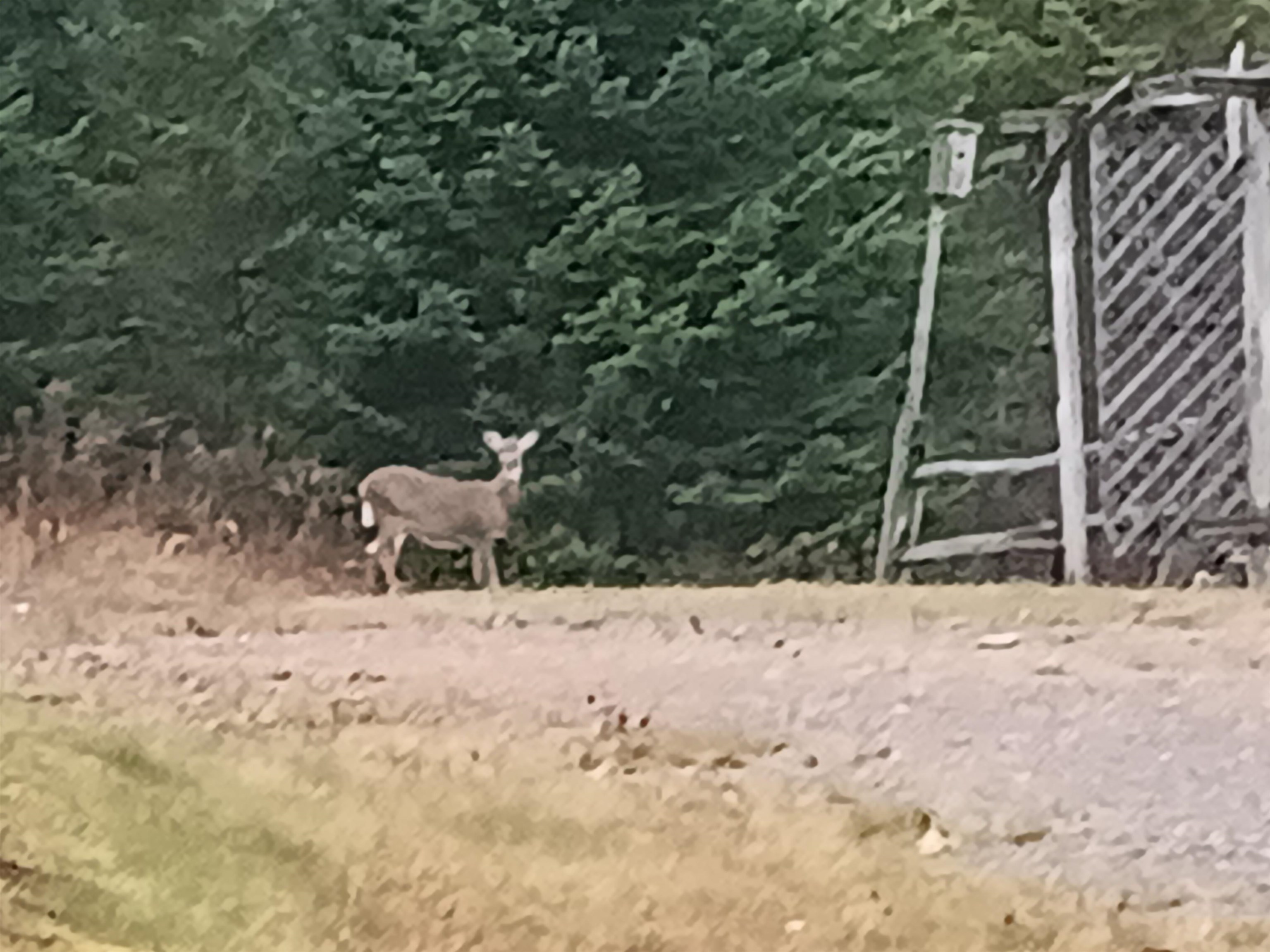 31 Beaver Brook Rd, Pittsburg, NH 03592