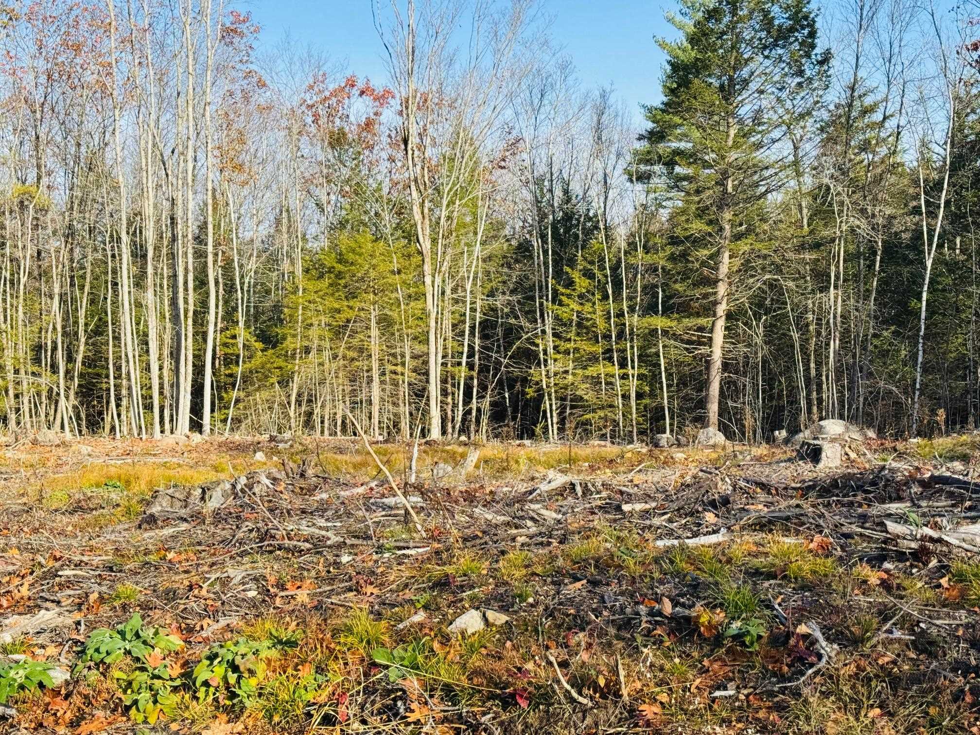 Lot 70 Homestead Ln, Barrington, NH 03825