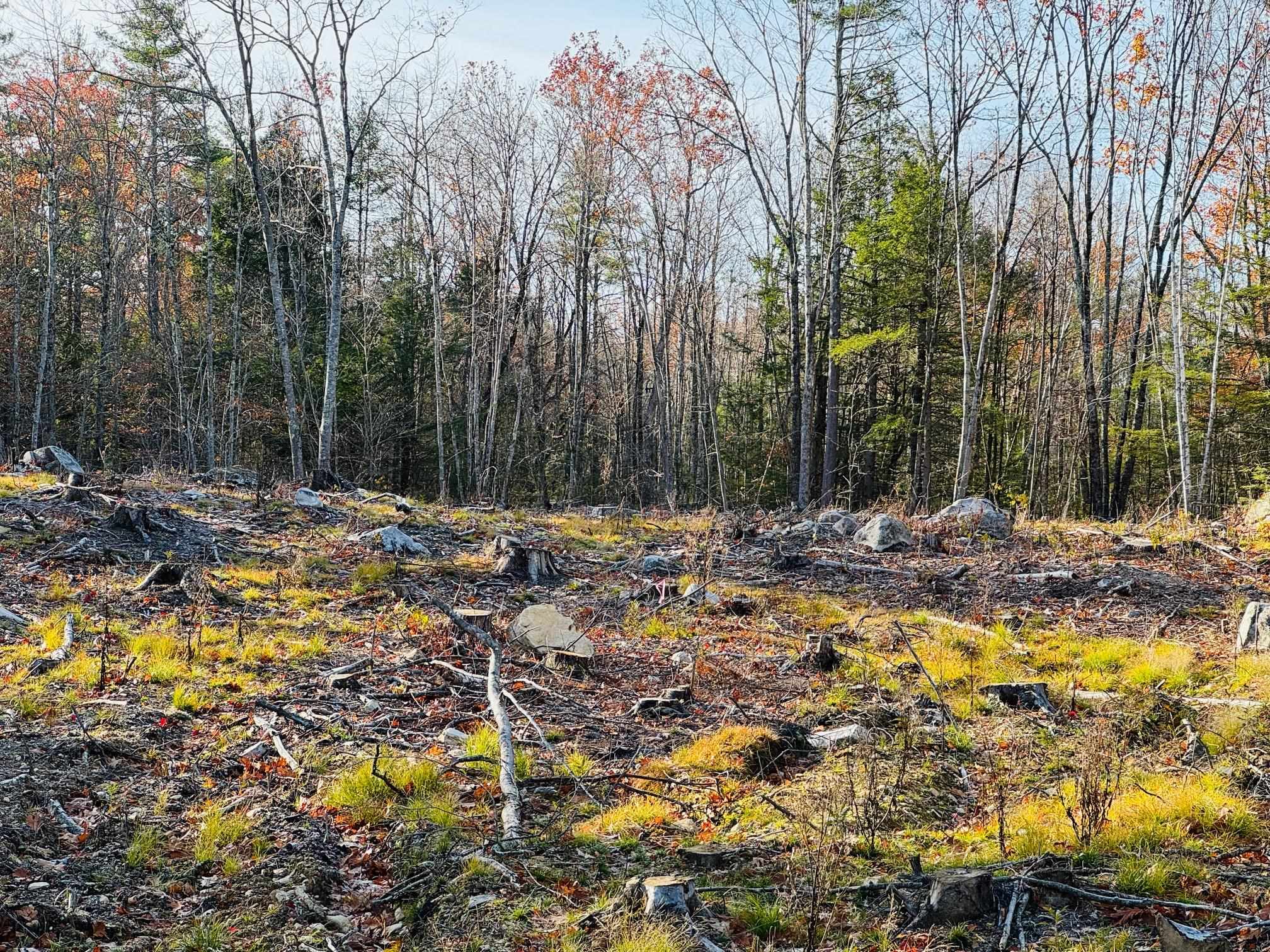 Lot 70 Homestead Ln, Barrington, NH 03825
