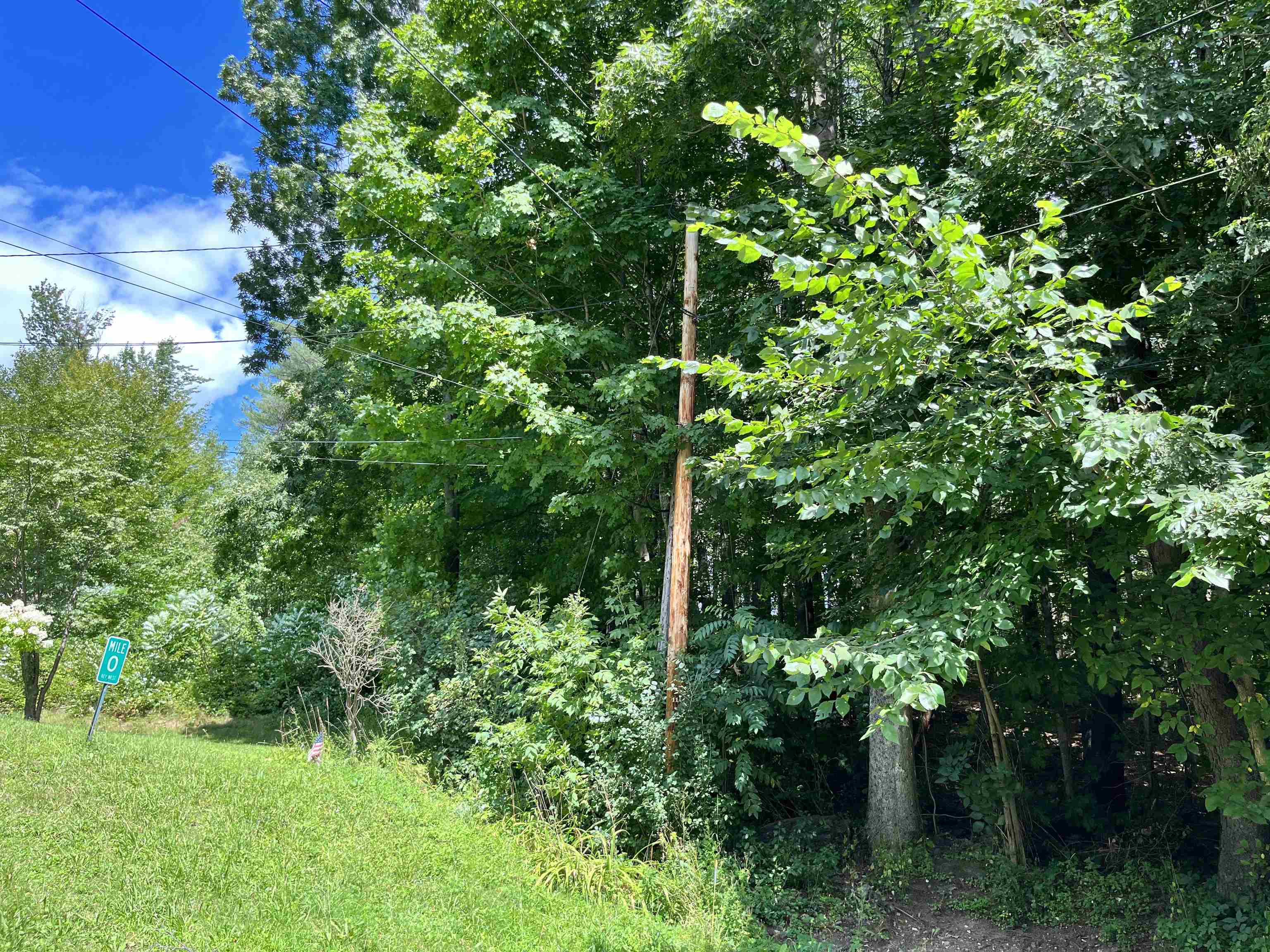 next to Yale St 24392911