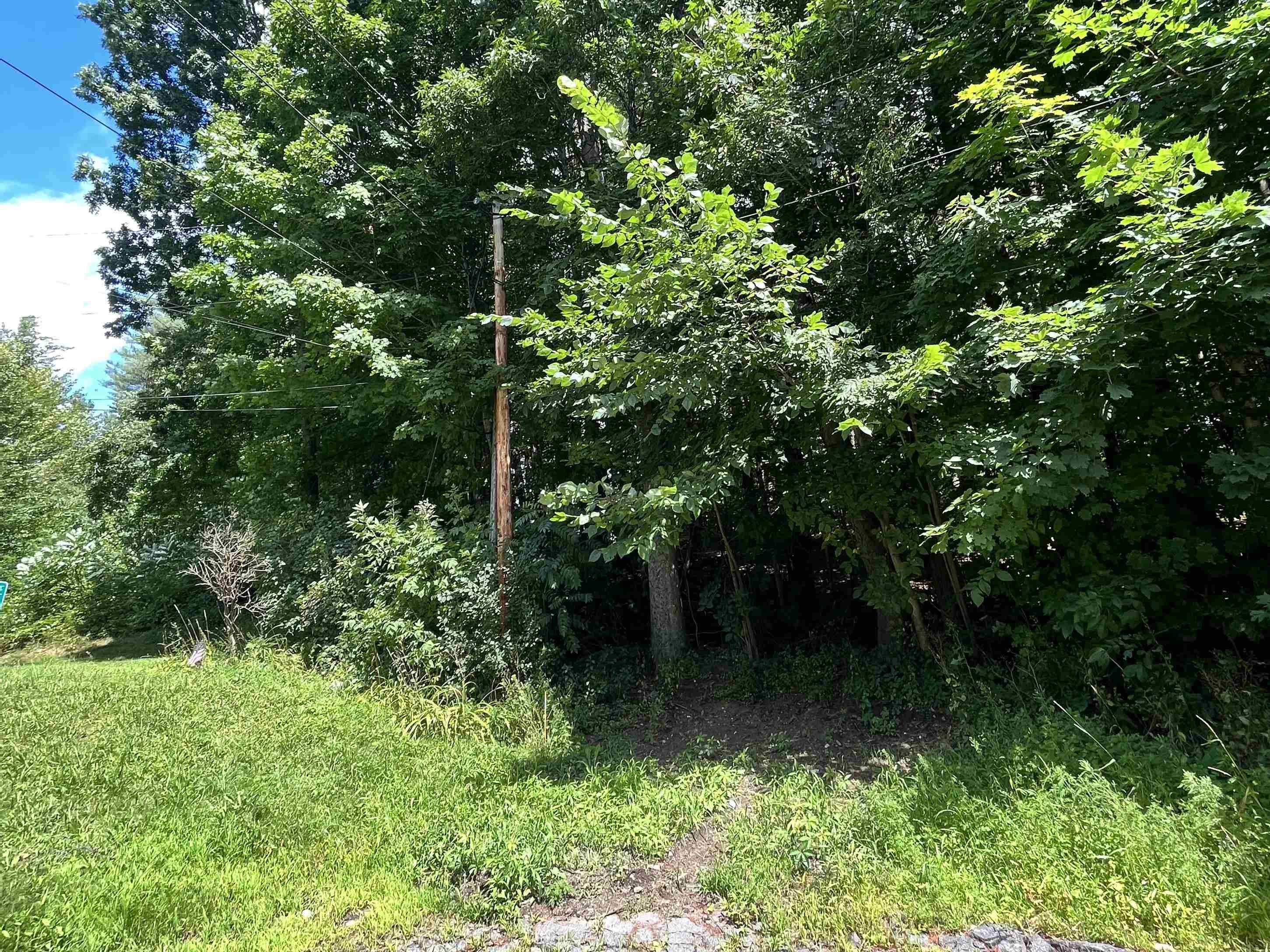 next to Yale St 24392913