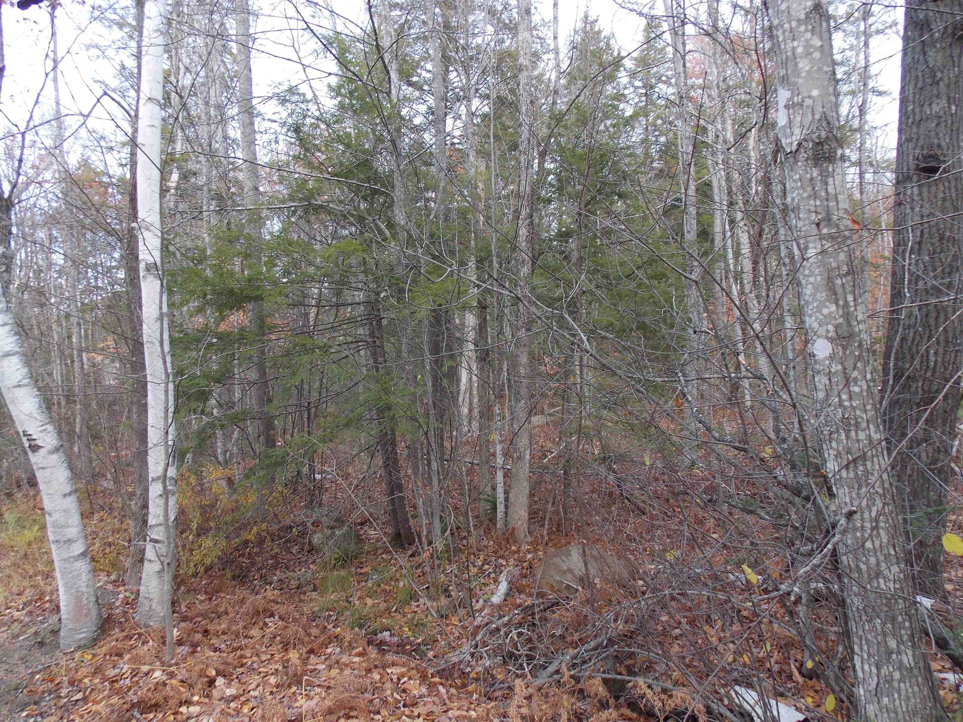 Lot 49 Mittenwald Strasse Rd, Bartlett, NH 03812