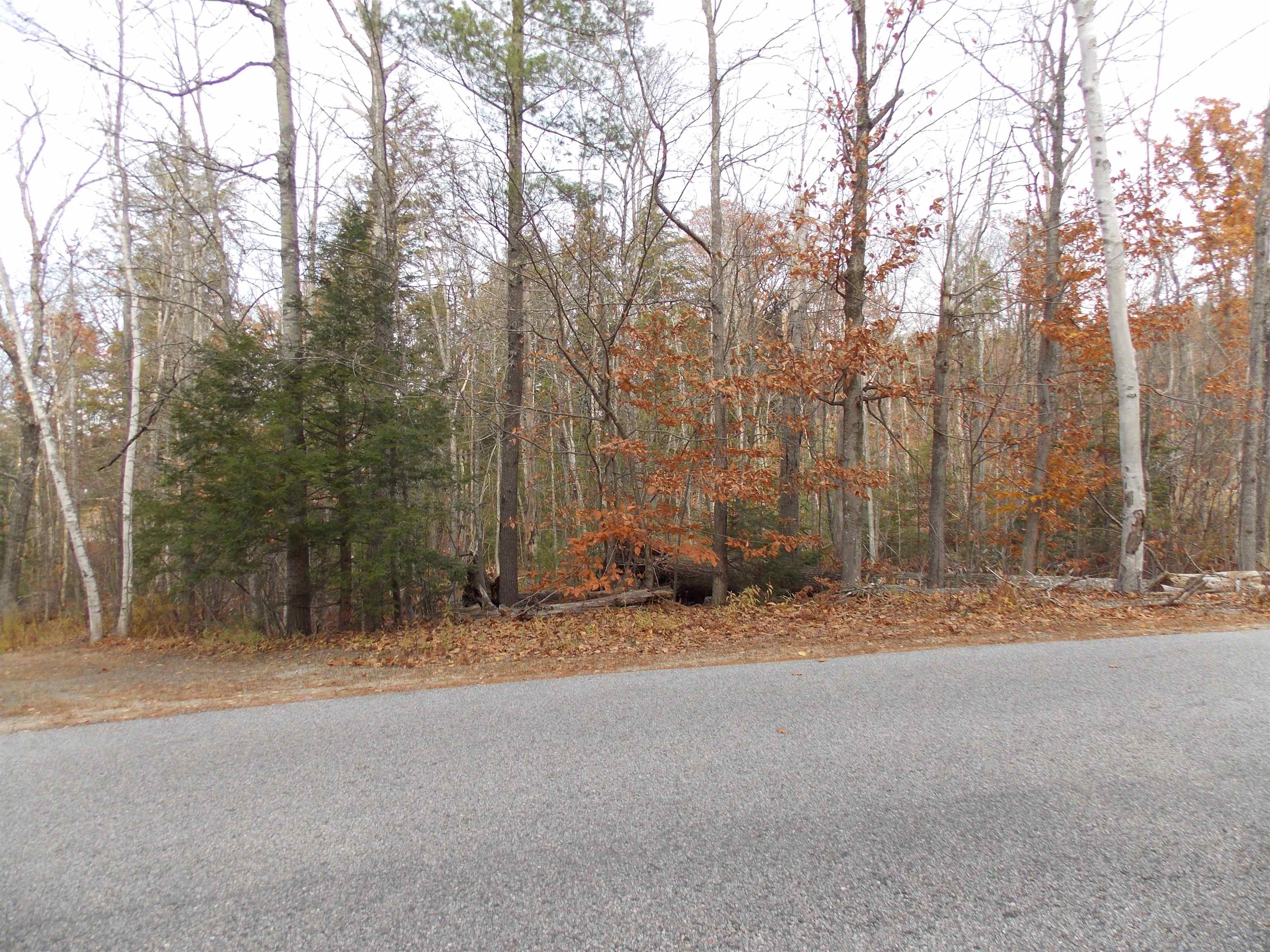 Lot 49 Mittenwald Strasse Rd, Bartlett, NH 03812