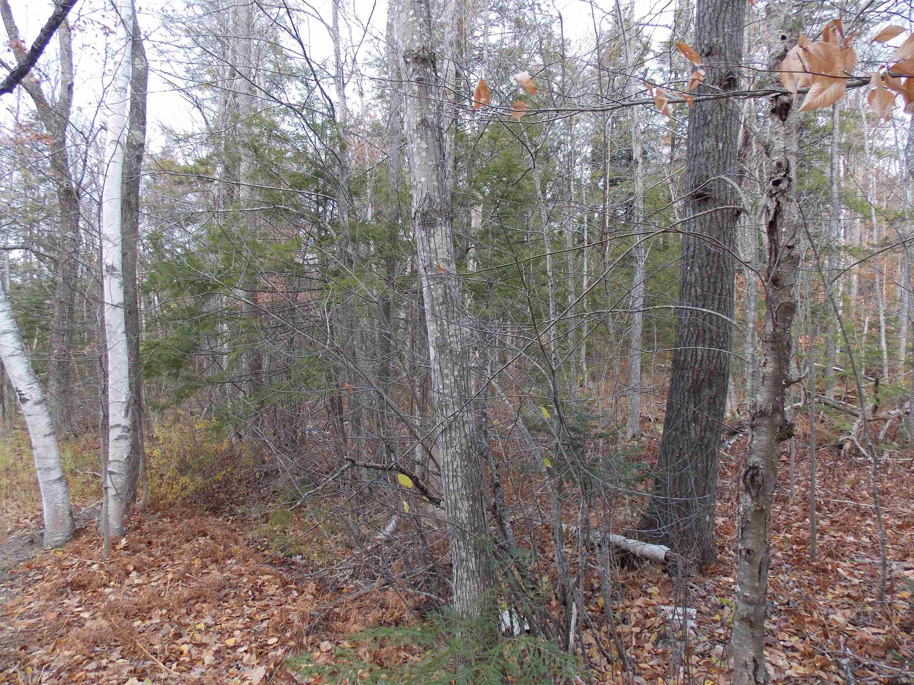 Lot 49 Mittenwald Strasse Rd, Bartlett, NH 03812
