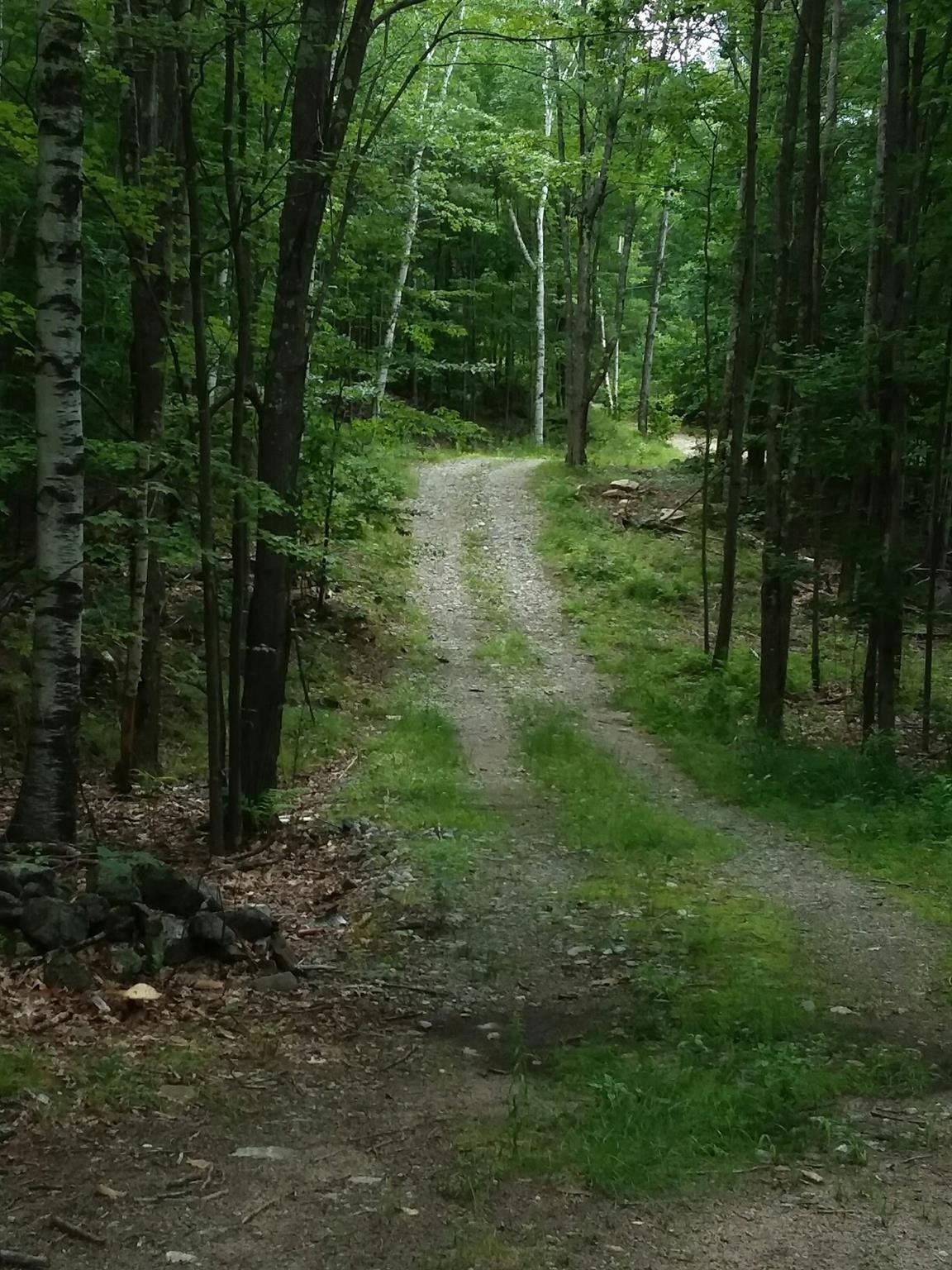 00 Old Wolfeboro Rd, Alton, NH 03809