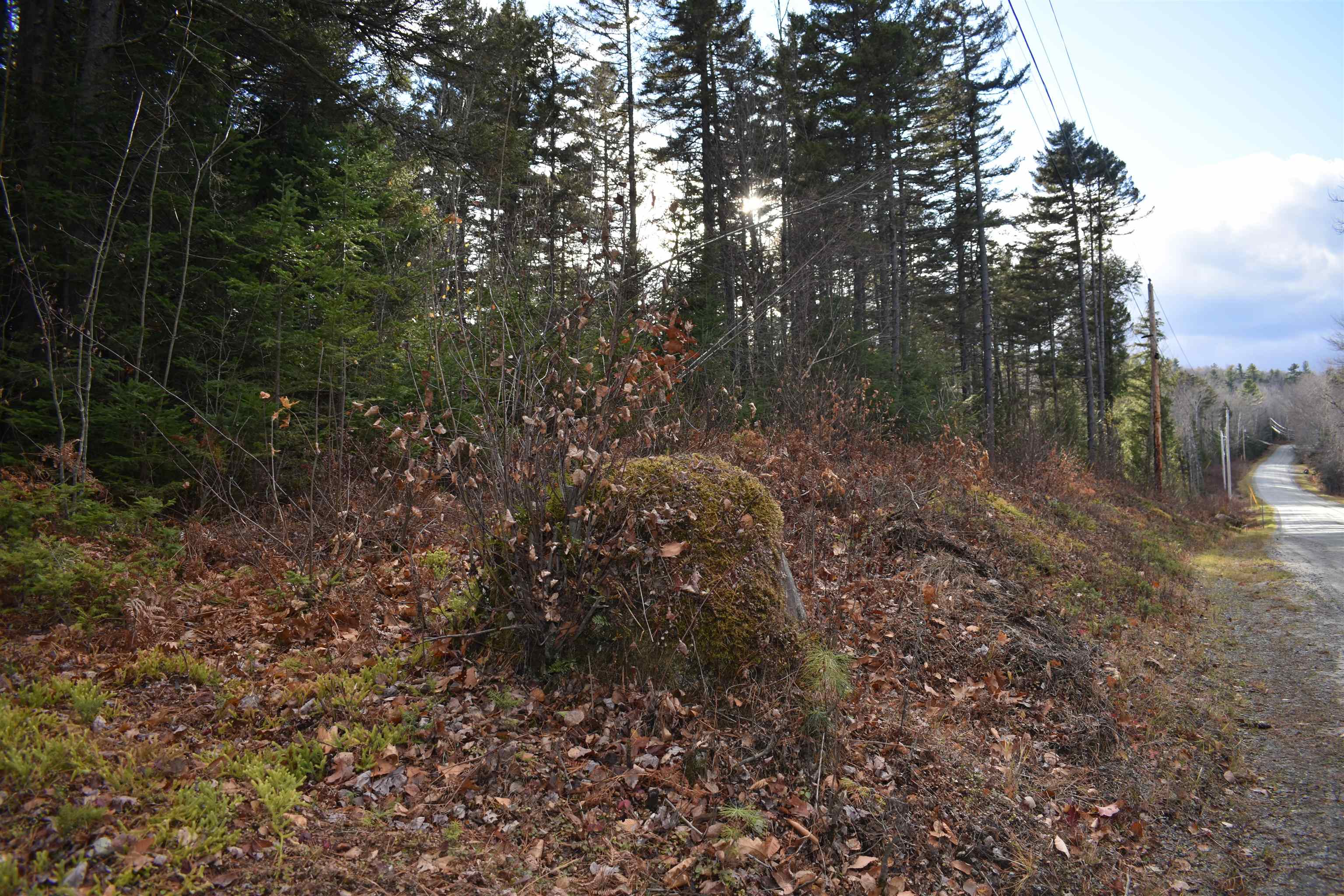 0 Grafton Pond Rd, Enfield, NH 03748