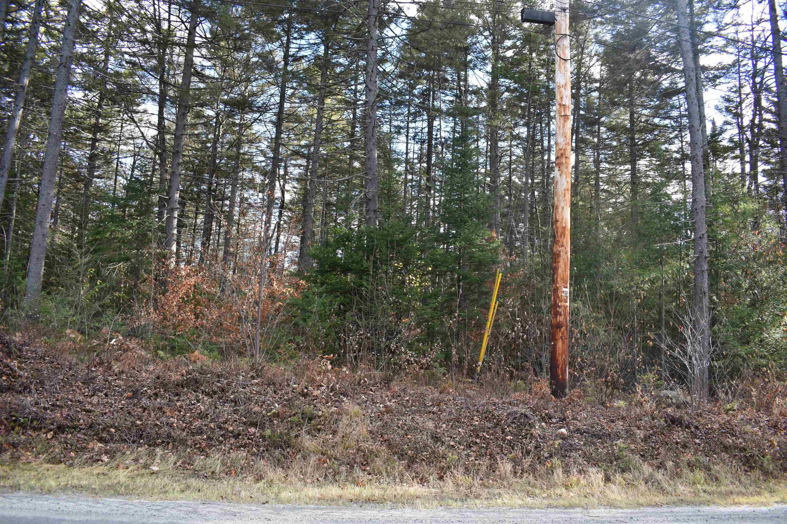 0 Grafton Pond Rd, Enfield, NH 03748