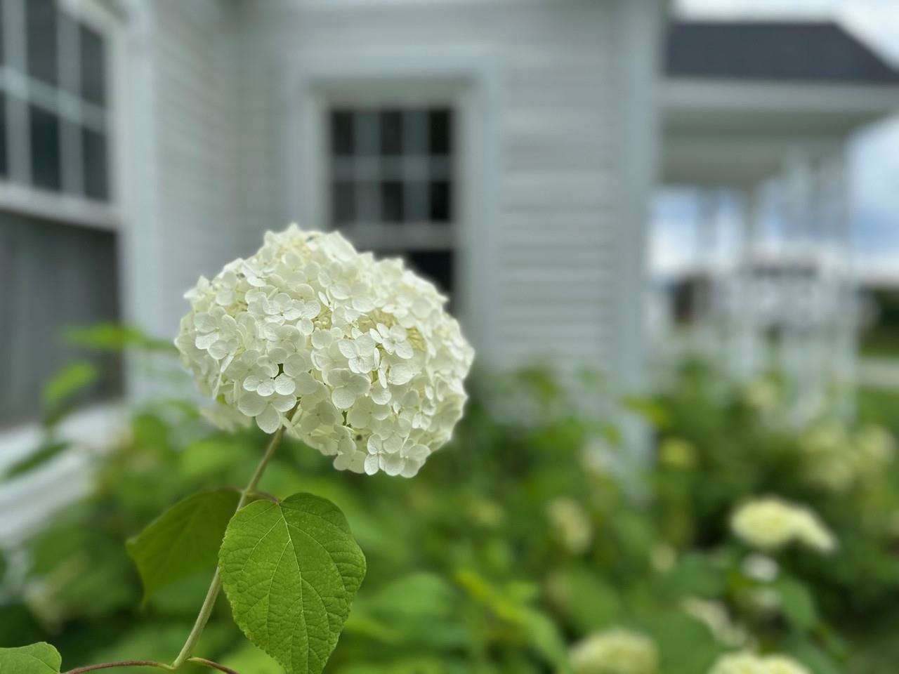Photo 2 of Single family home for sale at 38 Beach Rd, Greensboro, VT 05841 | MLS# 5069071 | Listing updated on 2026-09-14