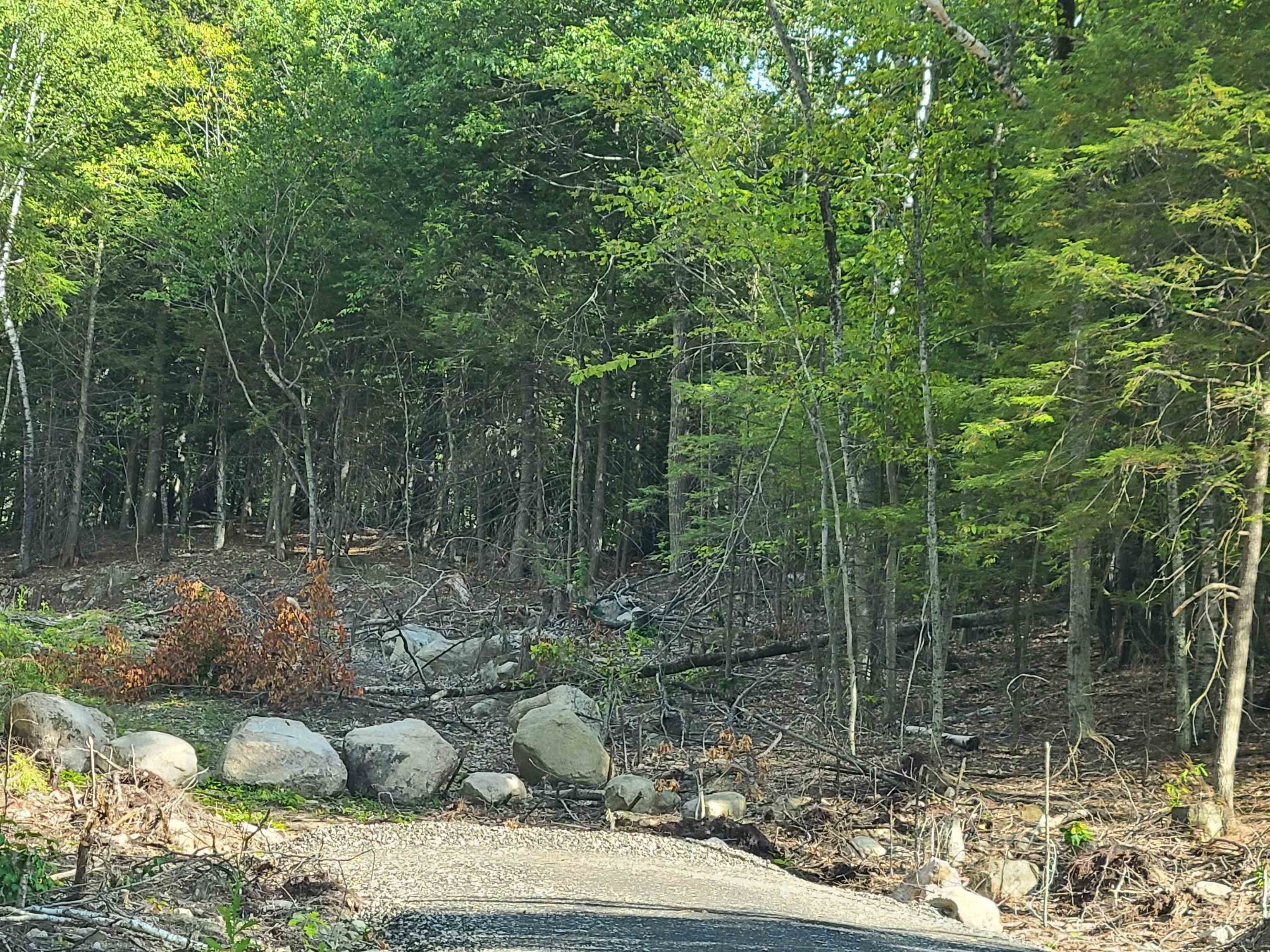 00 Innsbruck Drive — photo 2