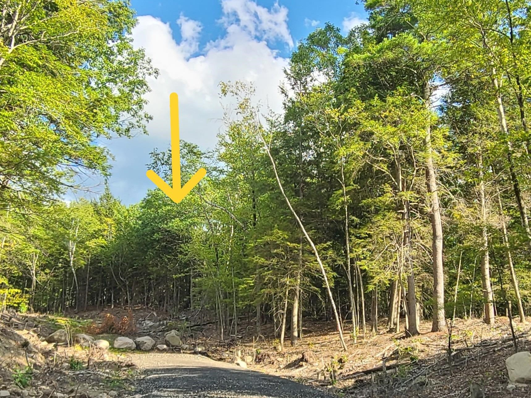 00 Innsbruck Drive — photo 3