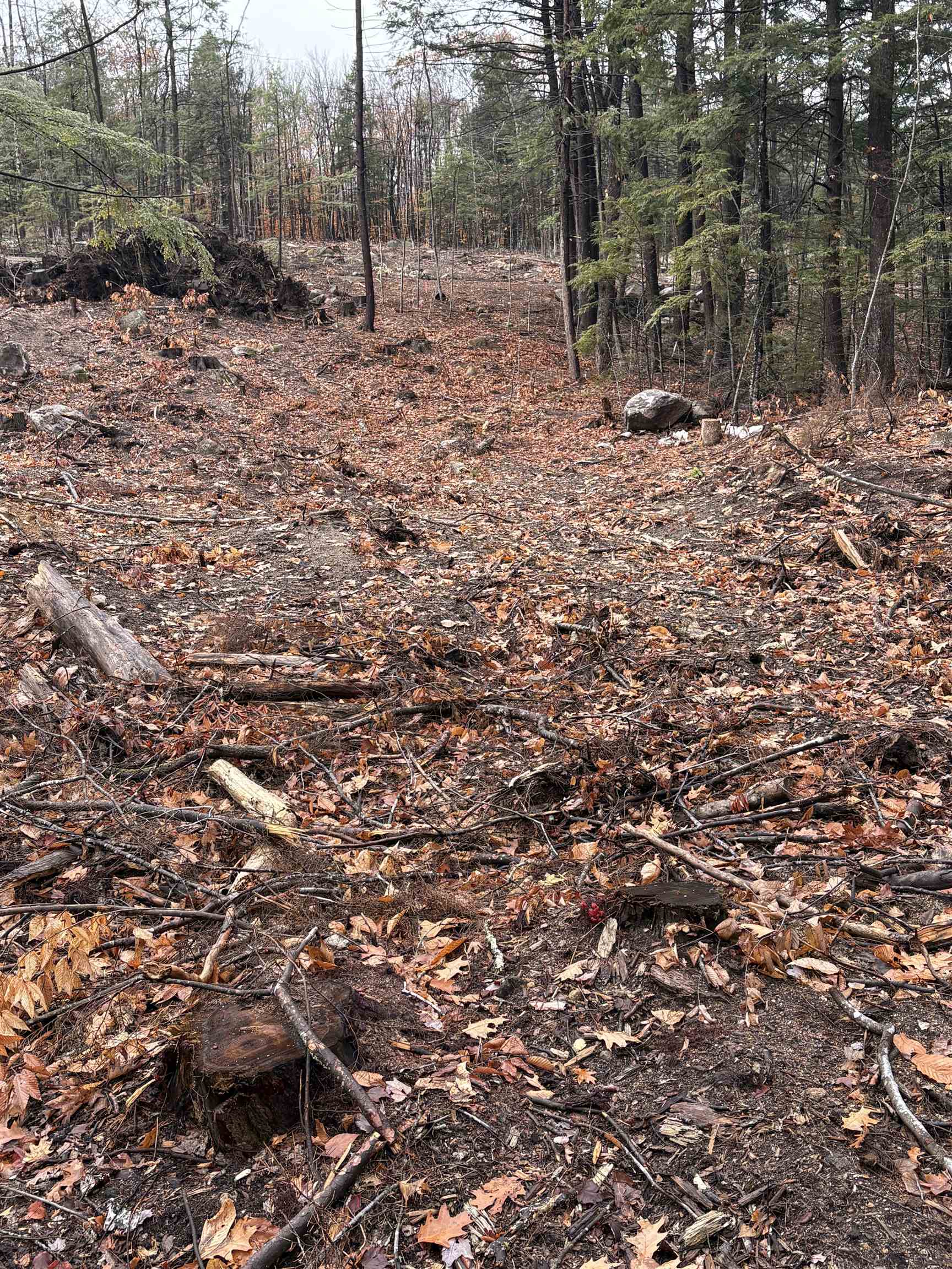 7 Sugarloaf Dr, Ossipee, NH 03814