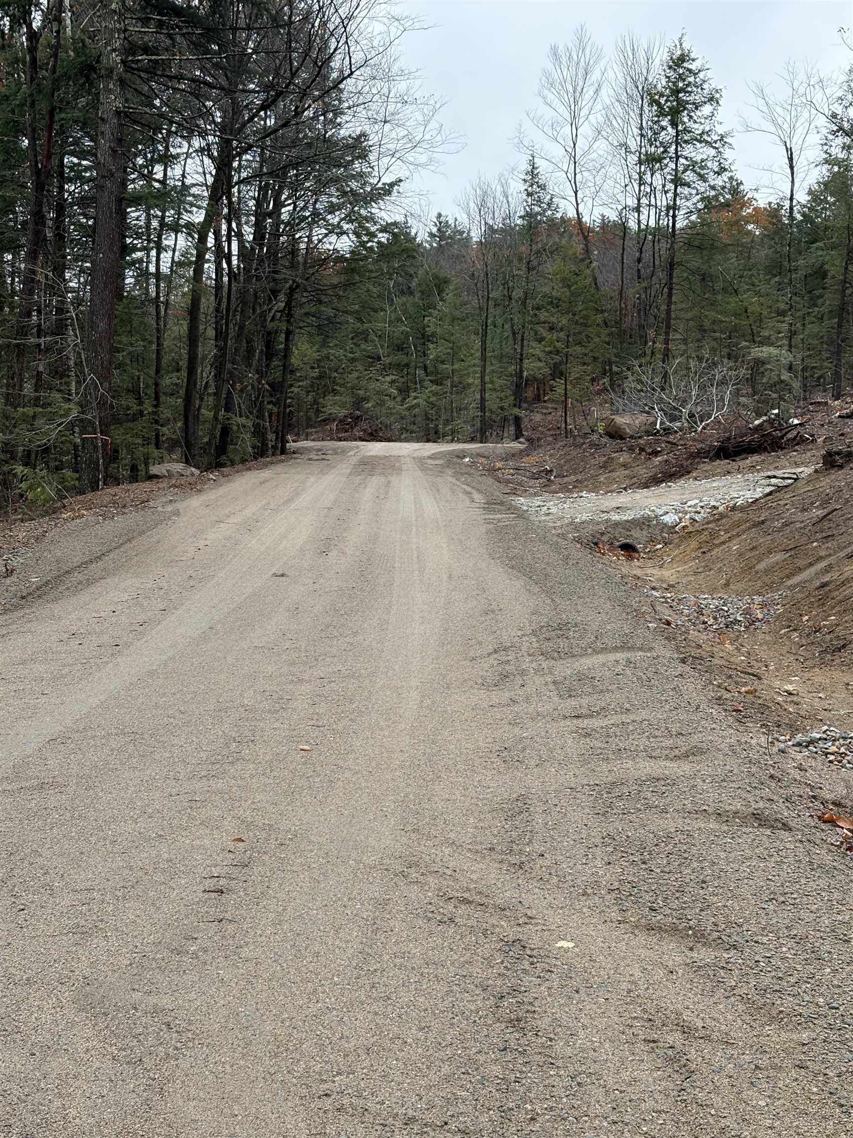 7 Sugarloaf Dr, Ossipee, NH 03814