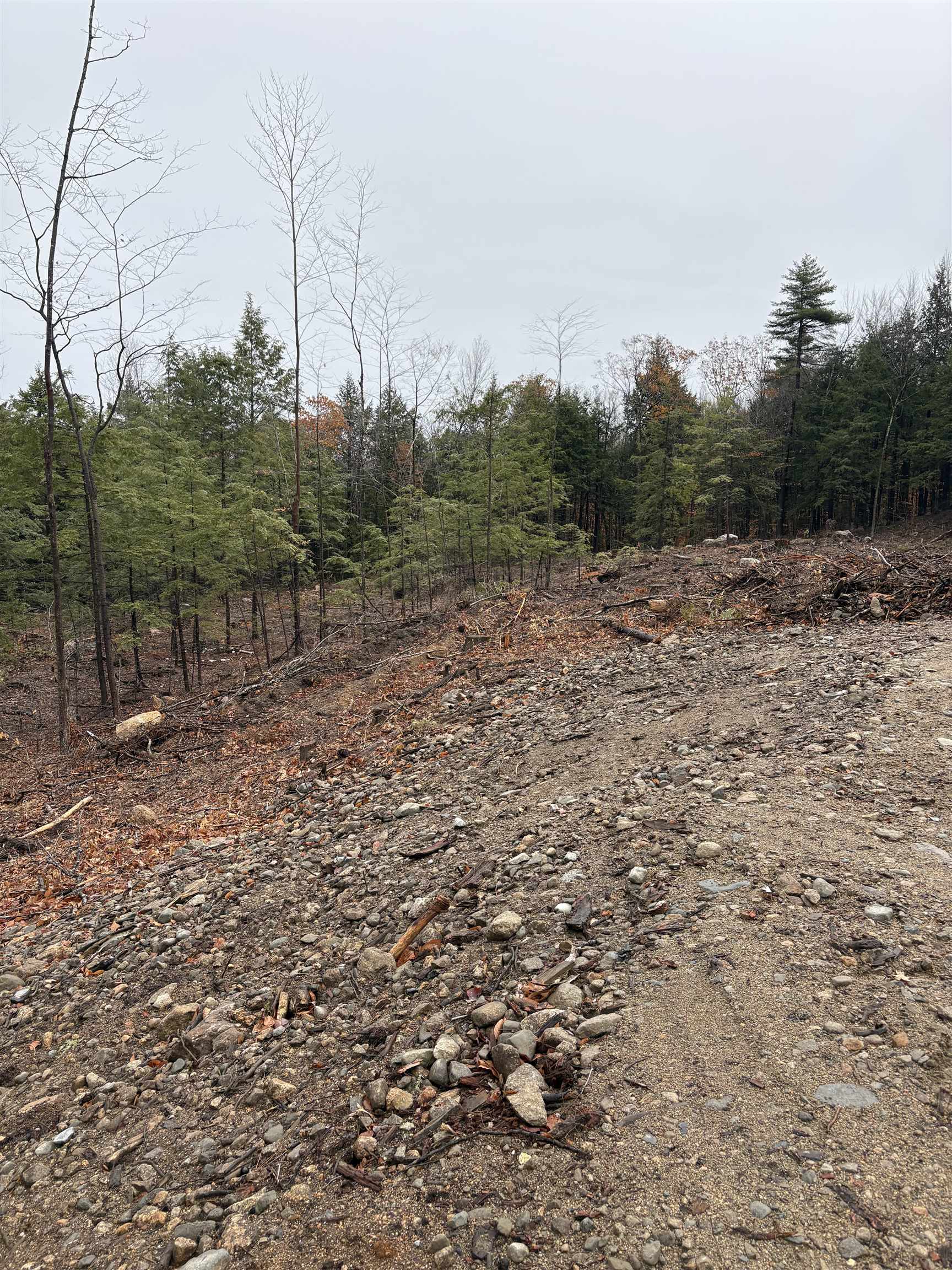 9 Sugarloaf Dr, Ossipee, NH 03814