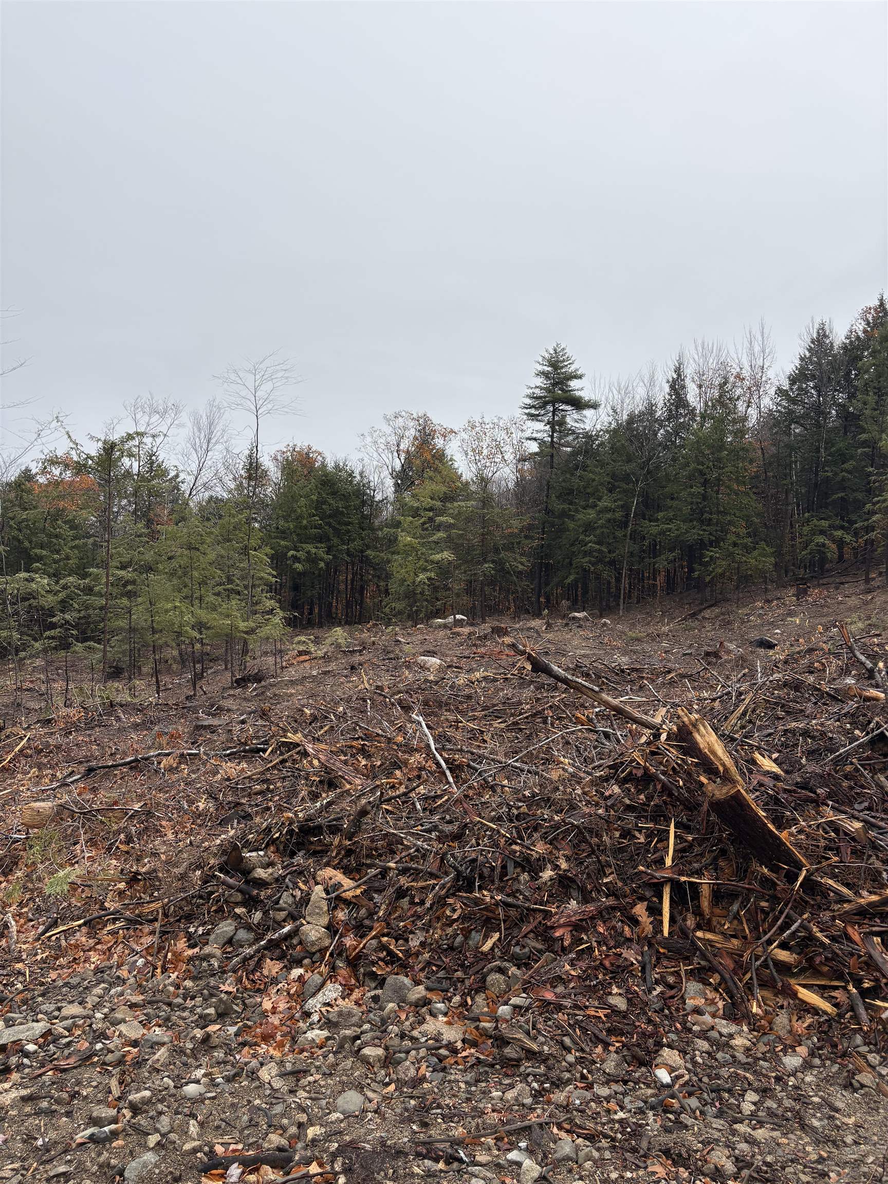 9 Sugarloaf Dr, Ossipee, NH 03814