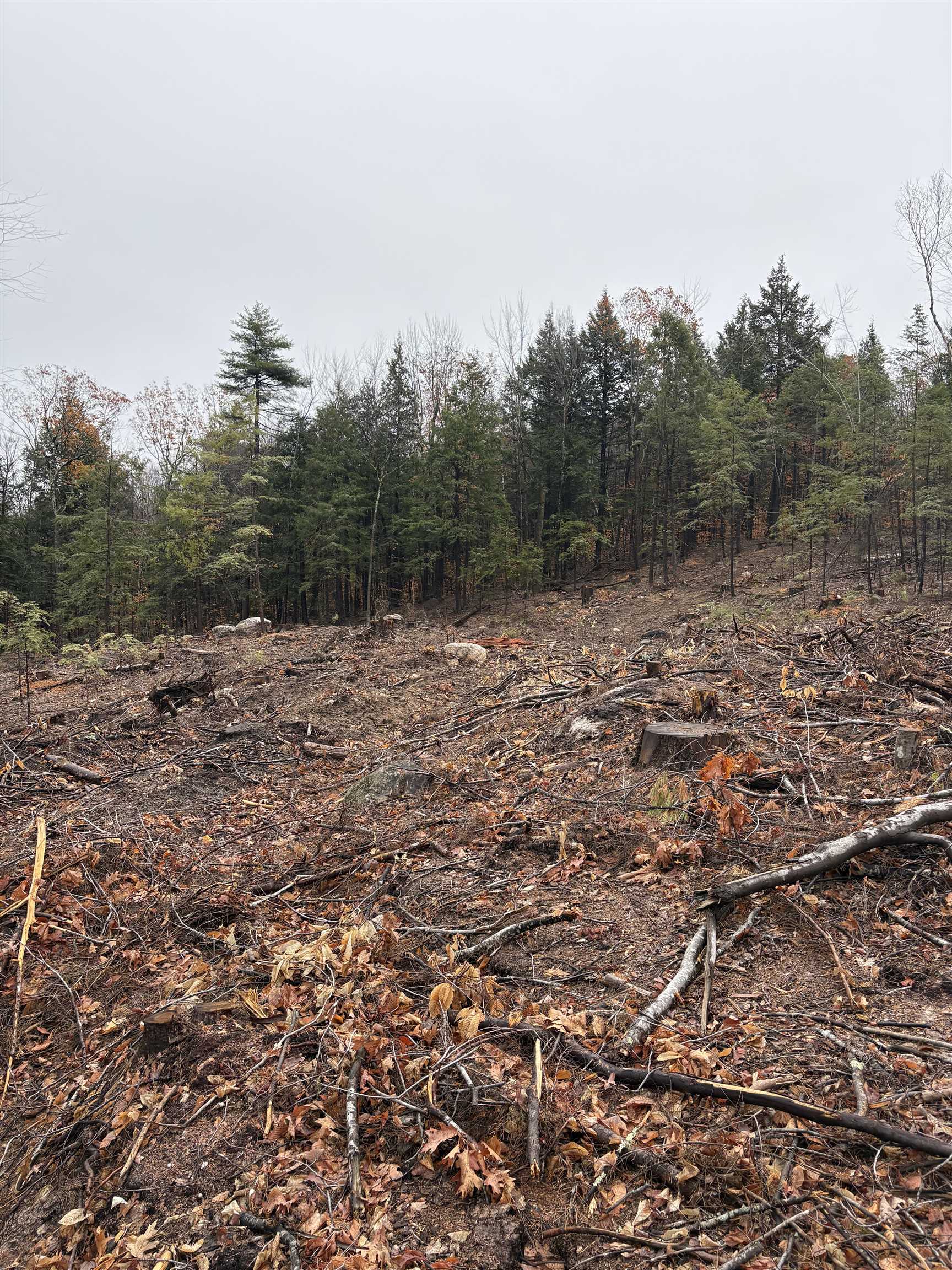 9 Sugarloaf Dr, Ossipee, NH 03814