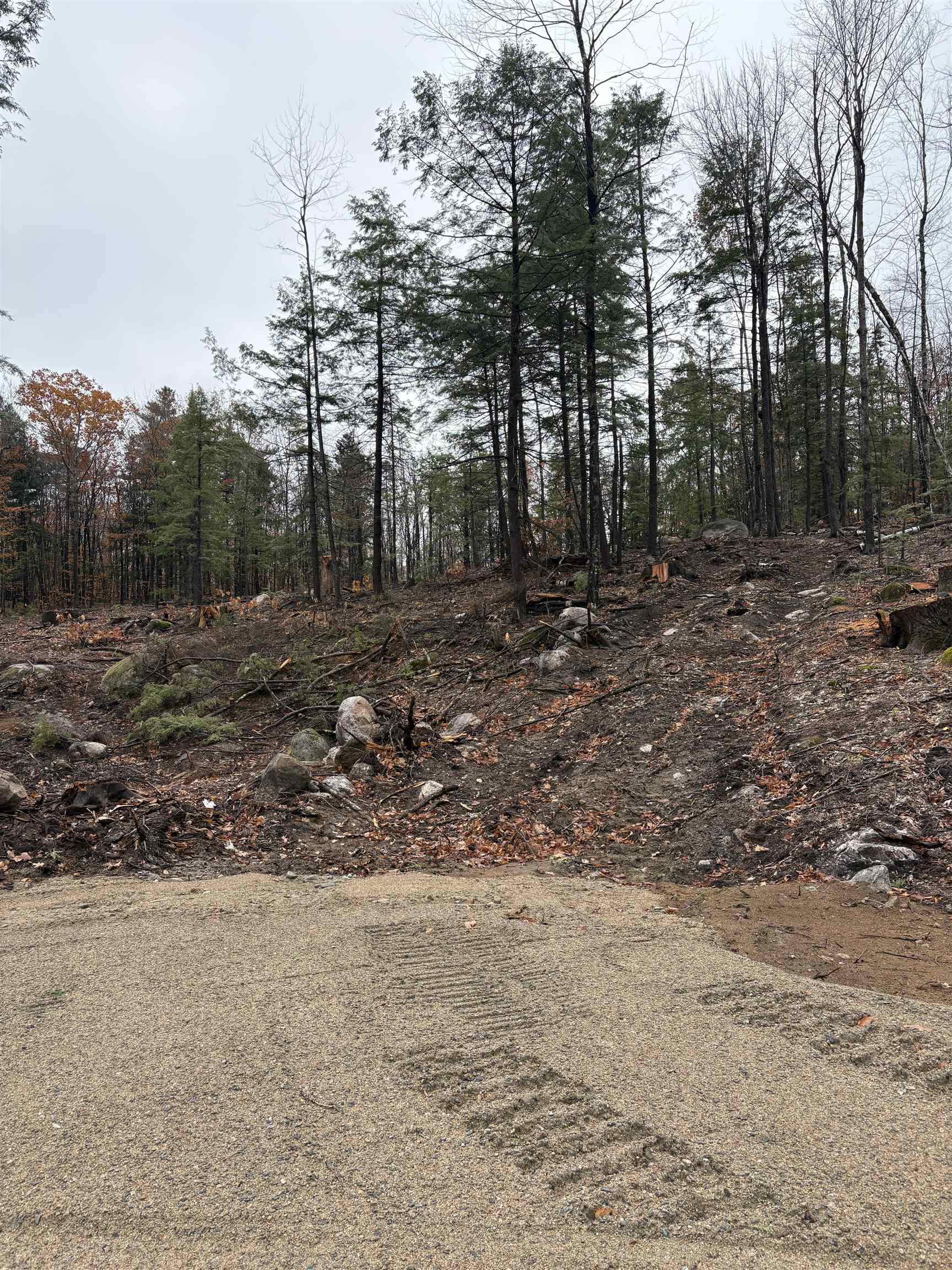 12 Sugarloaf Dr, Ossipee, NH 03814