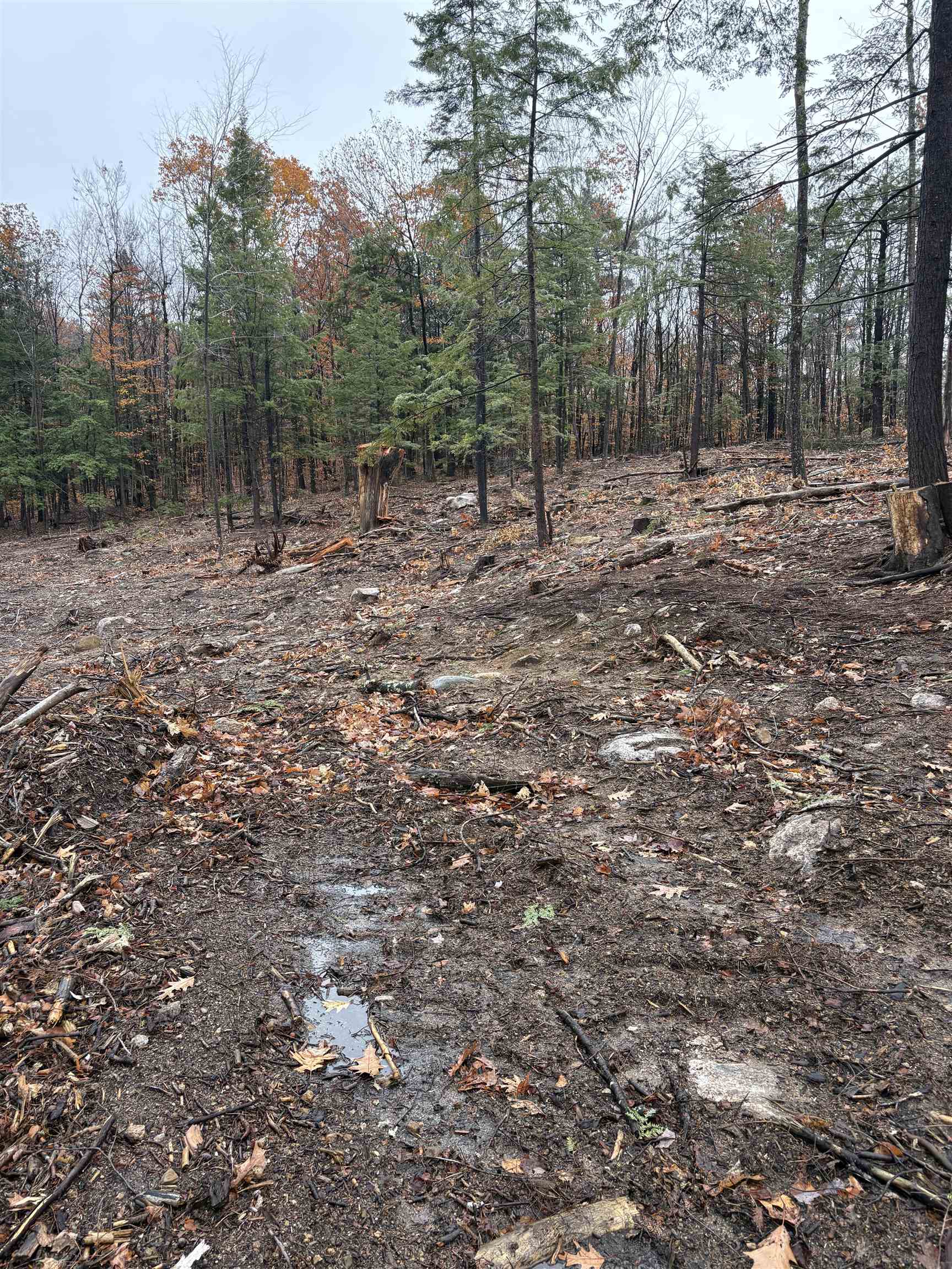 12 Sugarloaf Dr, Ossipee, NH 03814