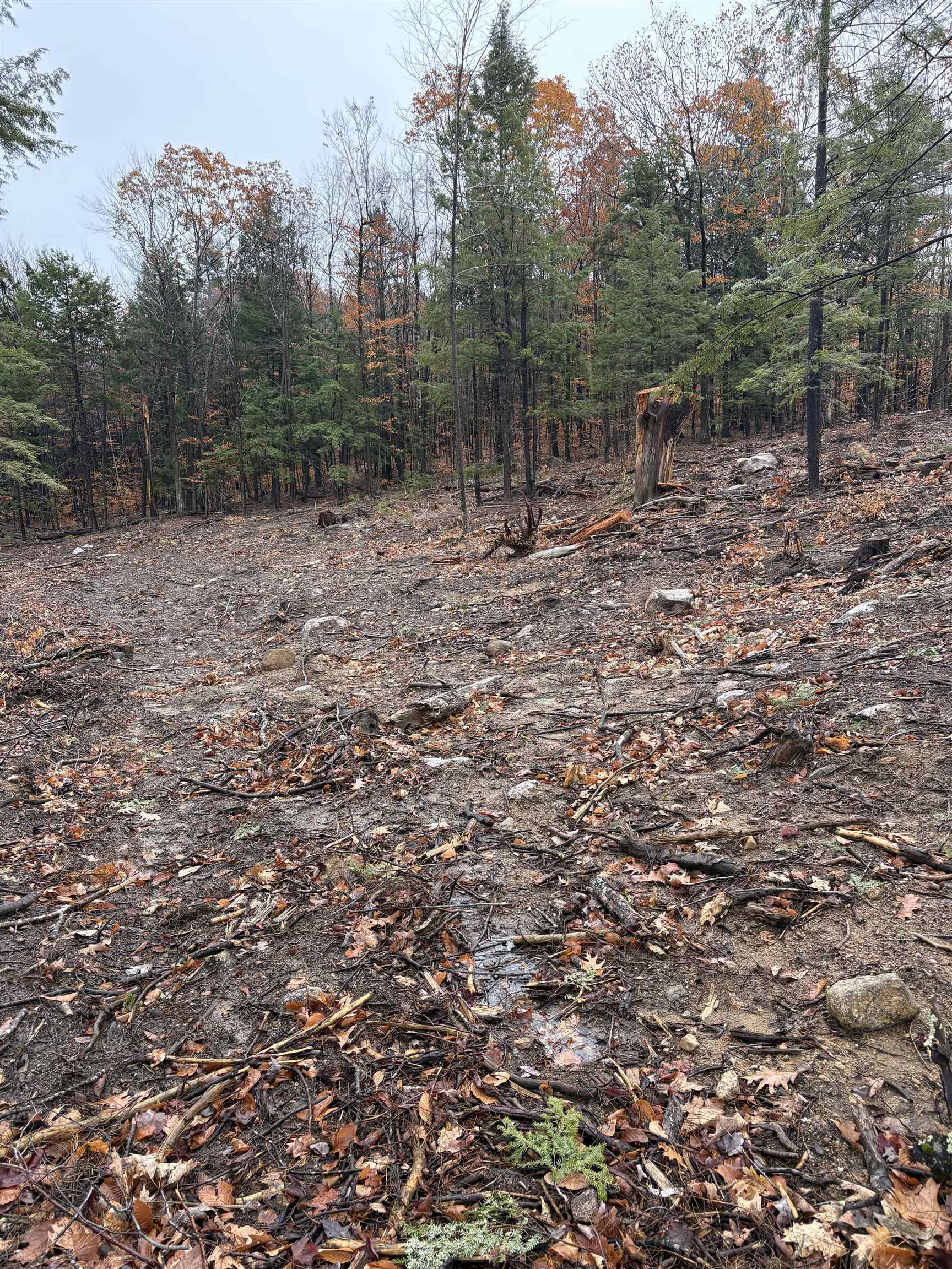 12 Sugarloaf Dr, Ossipee, NH 03814