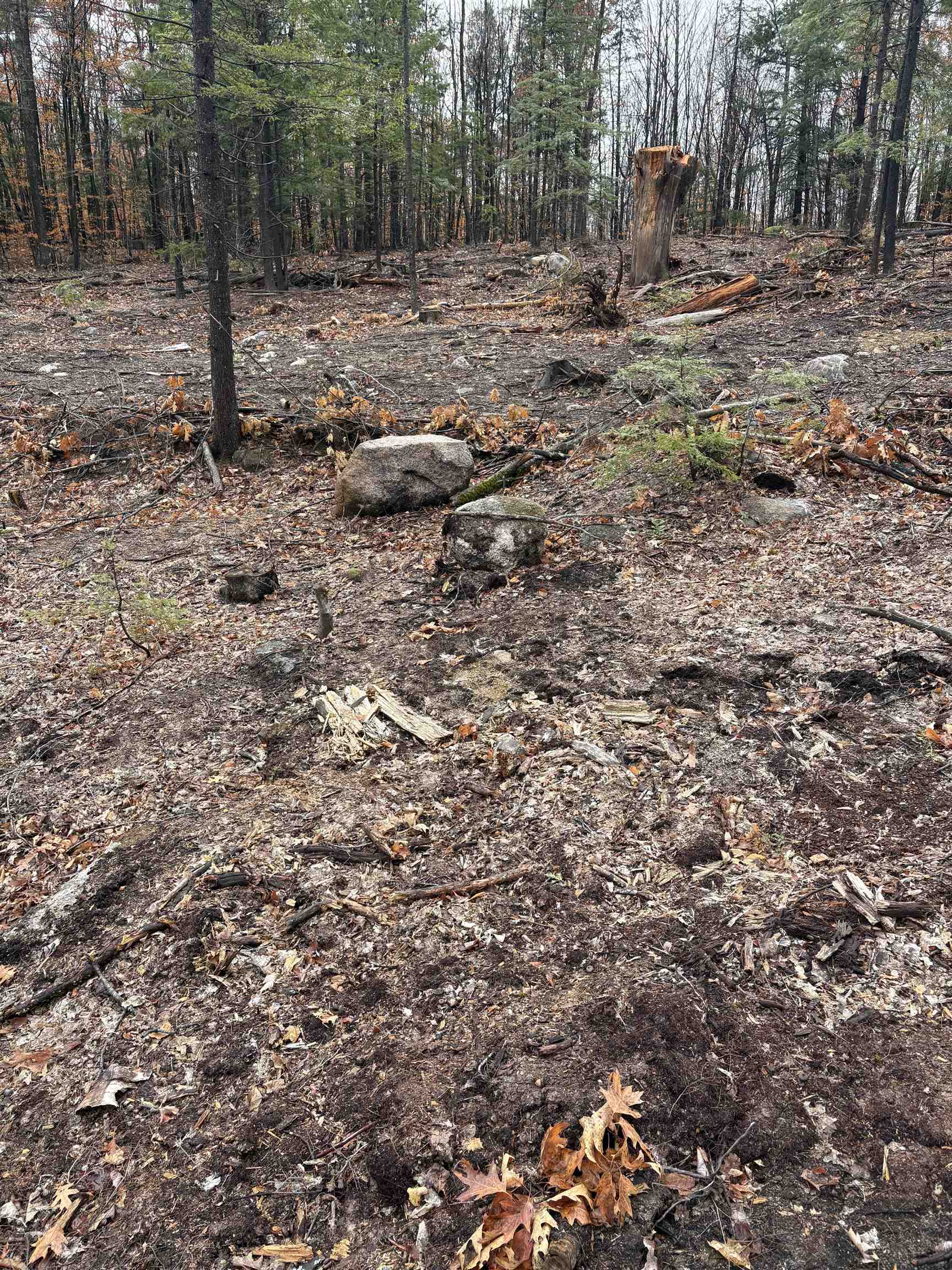 12 Sugarloaf Dr, Ossipee, NH 03814