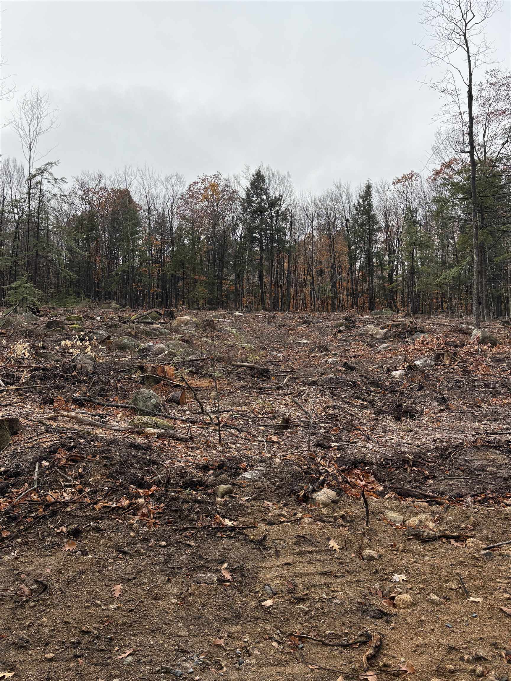 8 Sugarloaf Dr, Ossipee, NH 03814