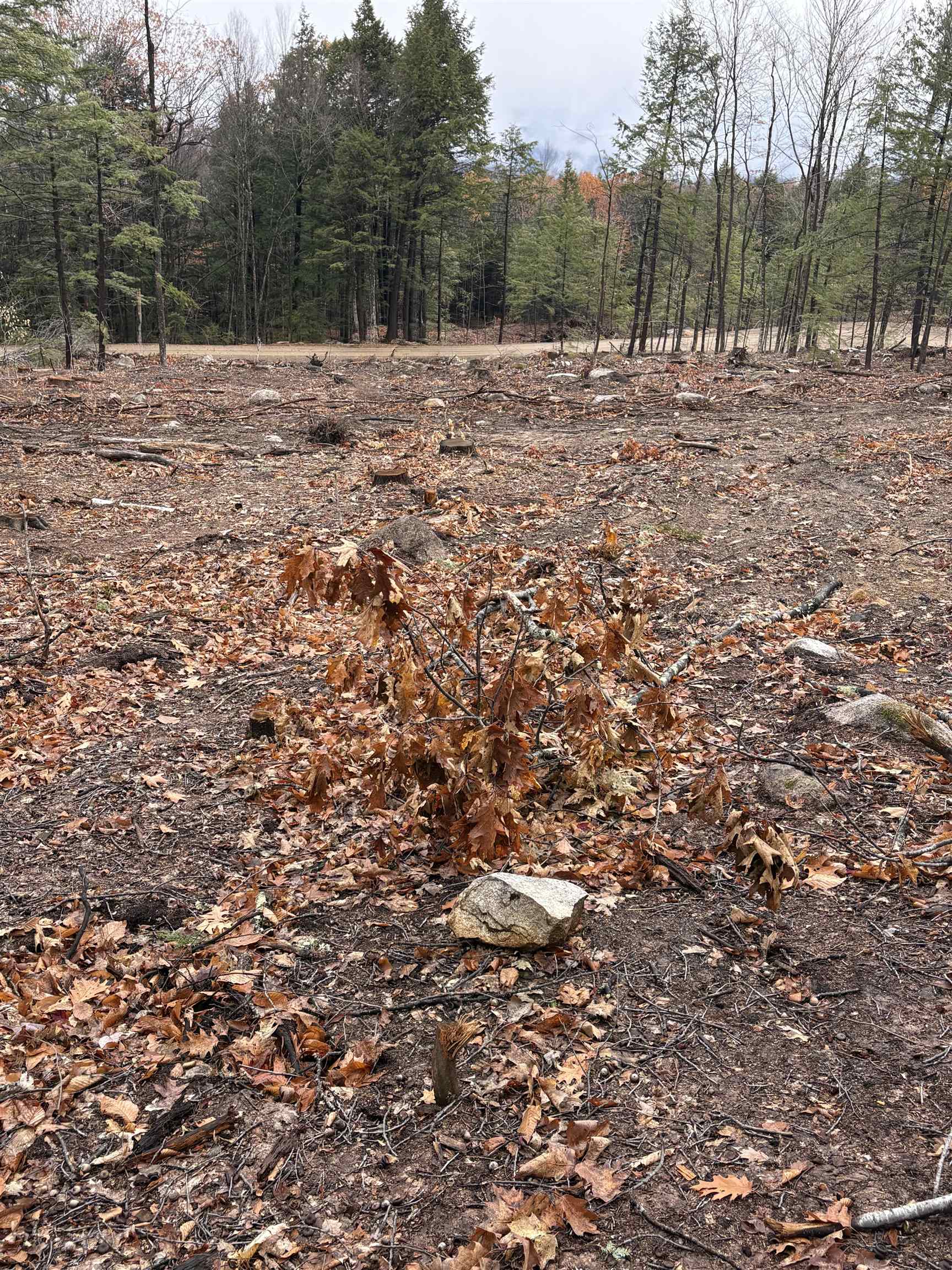 8 Sugarloaf Dr, Ossipee, NH 03814