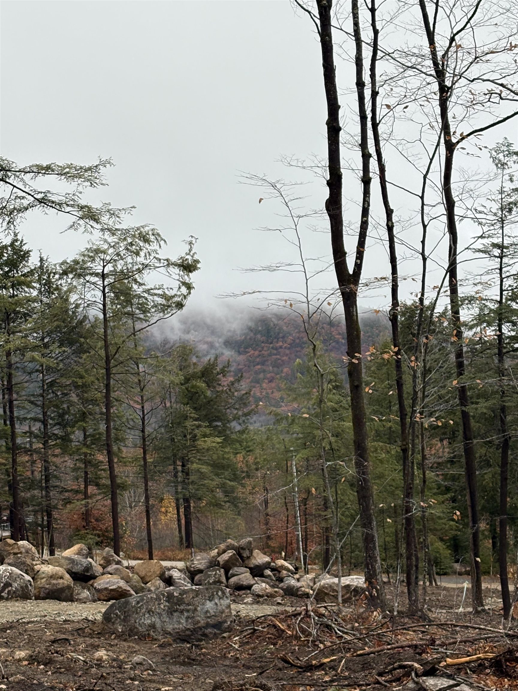 8 Sugarloaf Dr, Ossipee, NH 03814