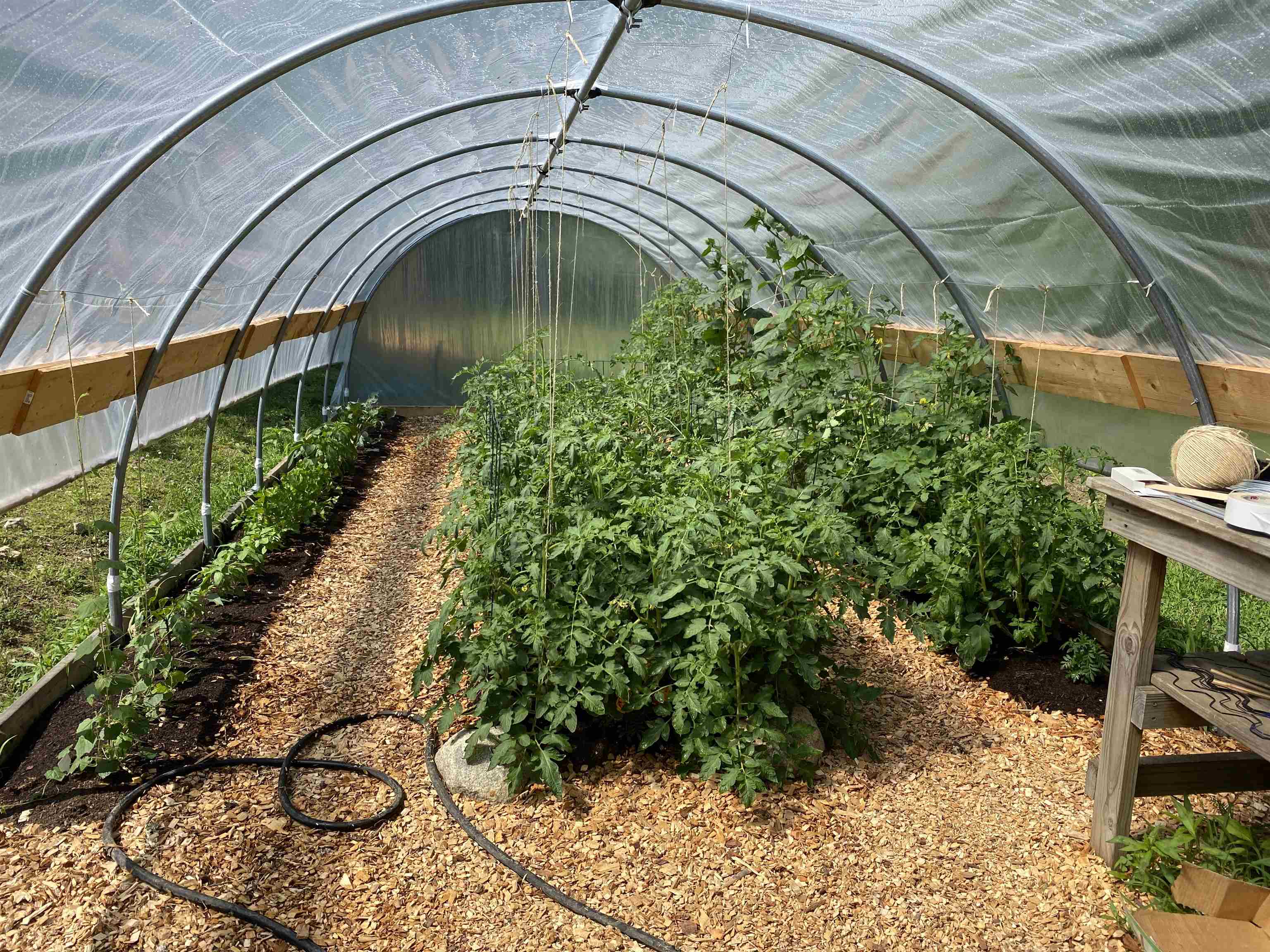 MLS #5069335 image #21