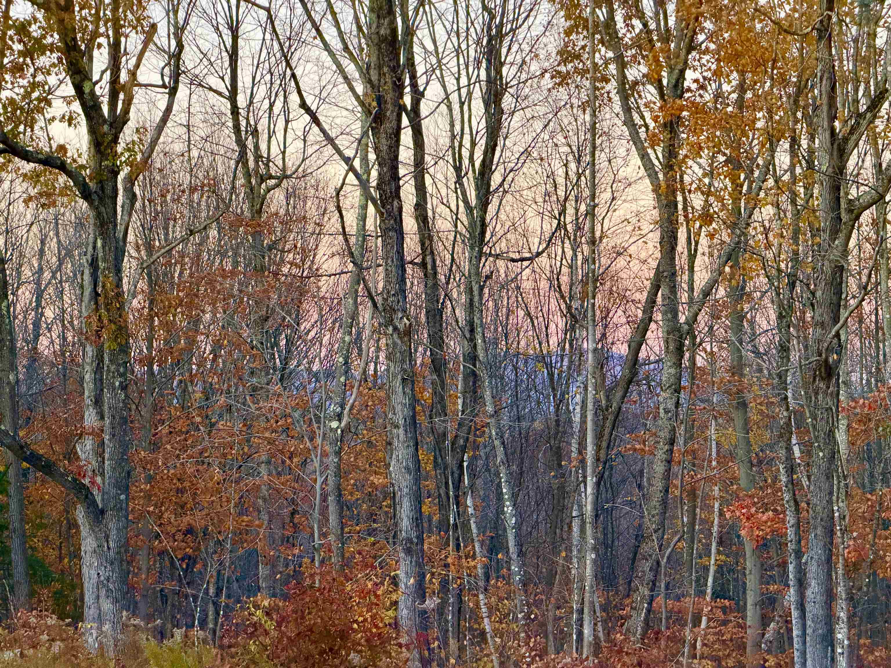 MLS #5069335 image #24