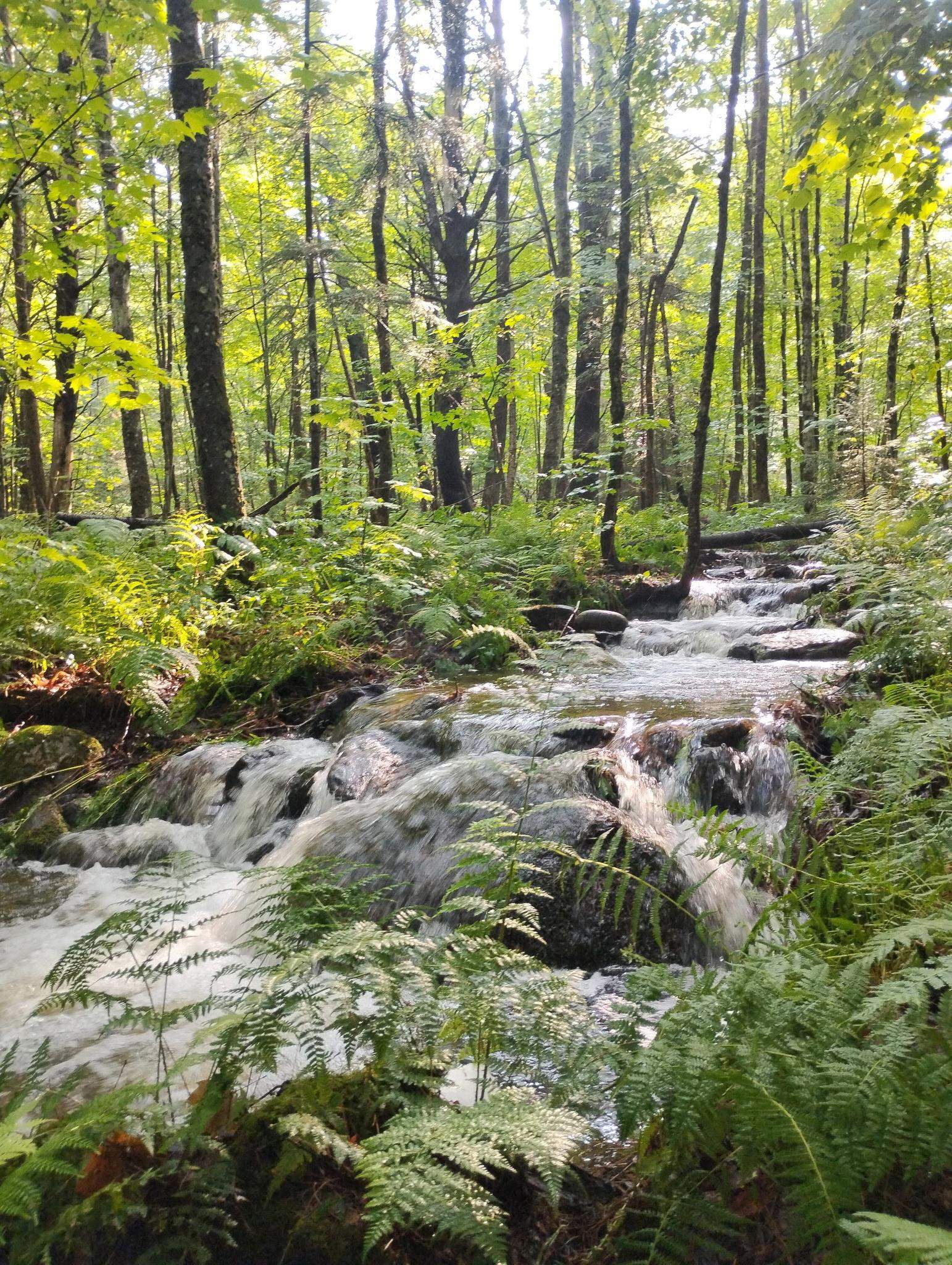 947 Foster Hill Rd, Landaff, NH 03585