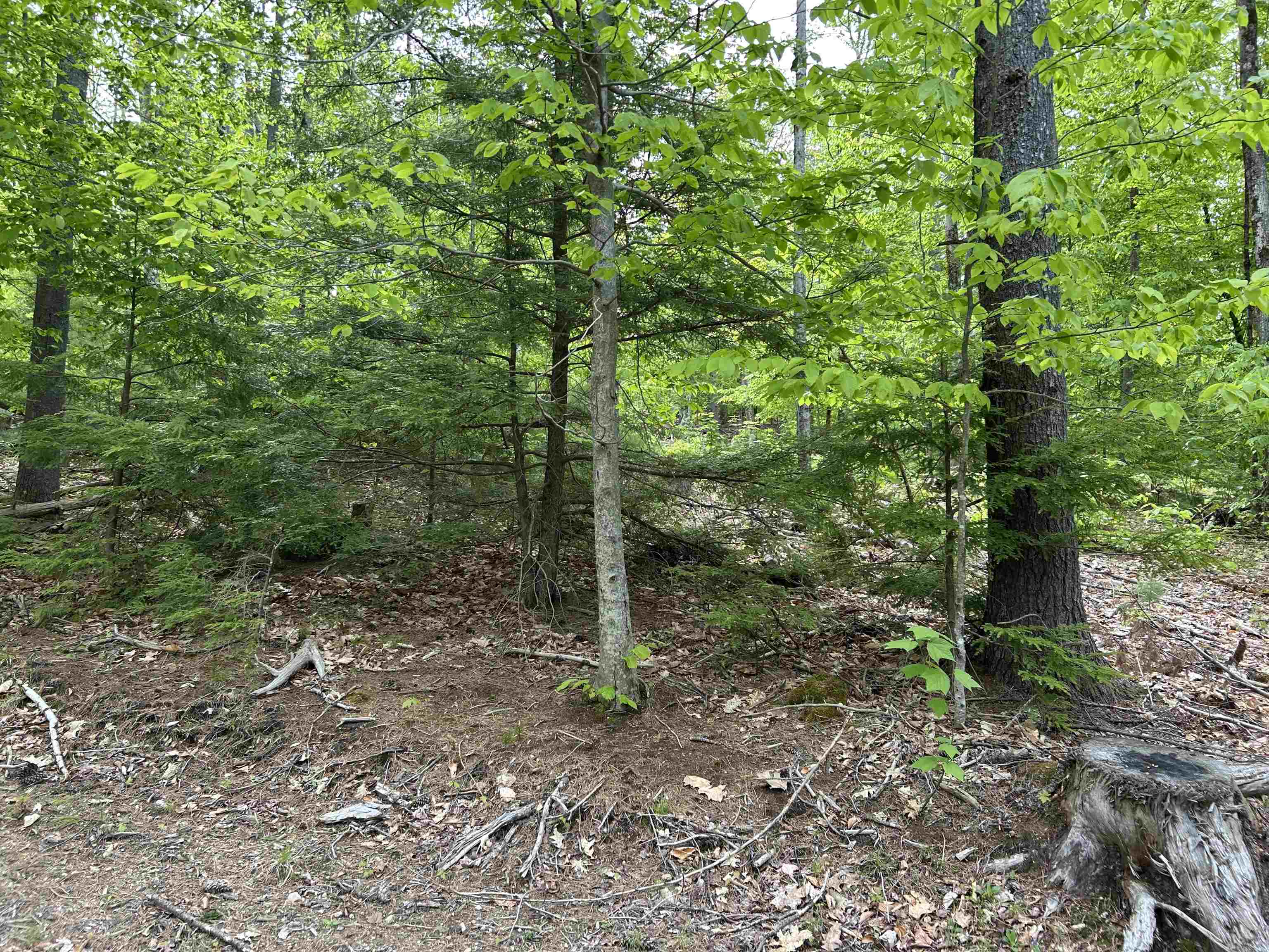 Pound Rd, Sutton, NH 03221