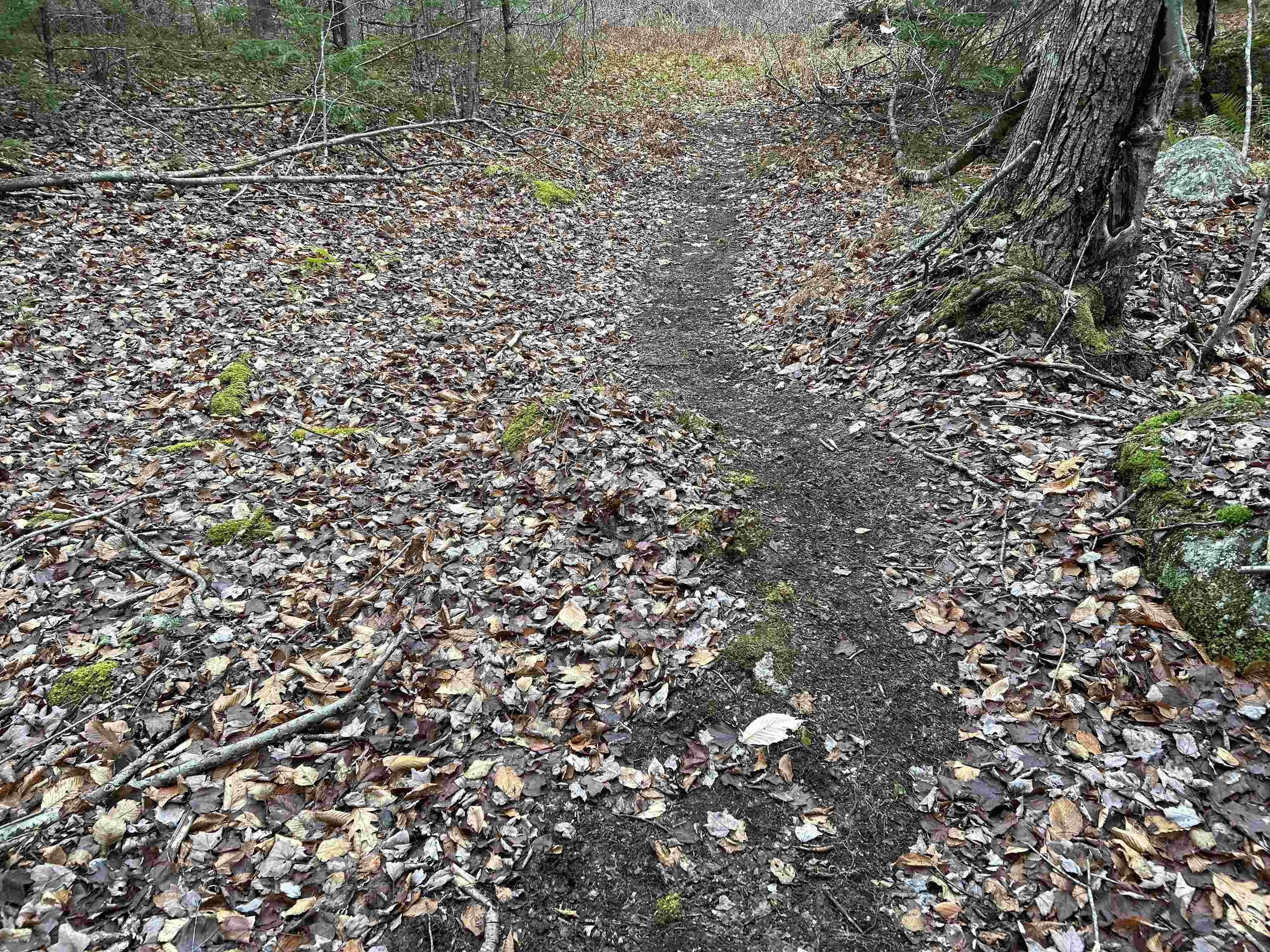 Heavily used runway 24427662