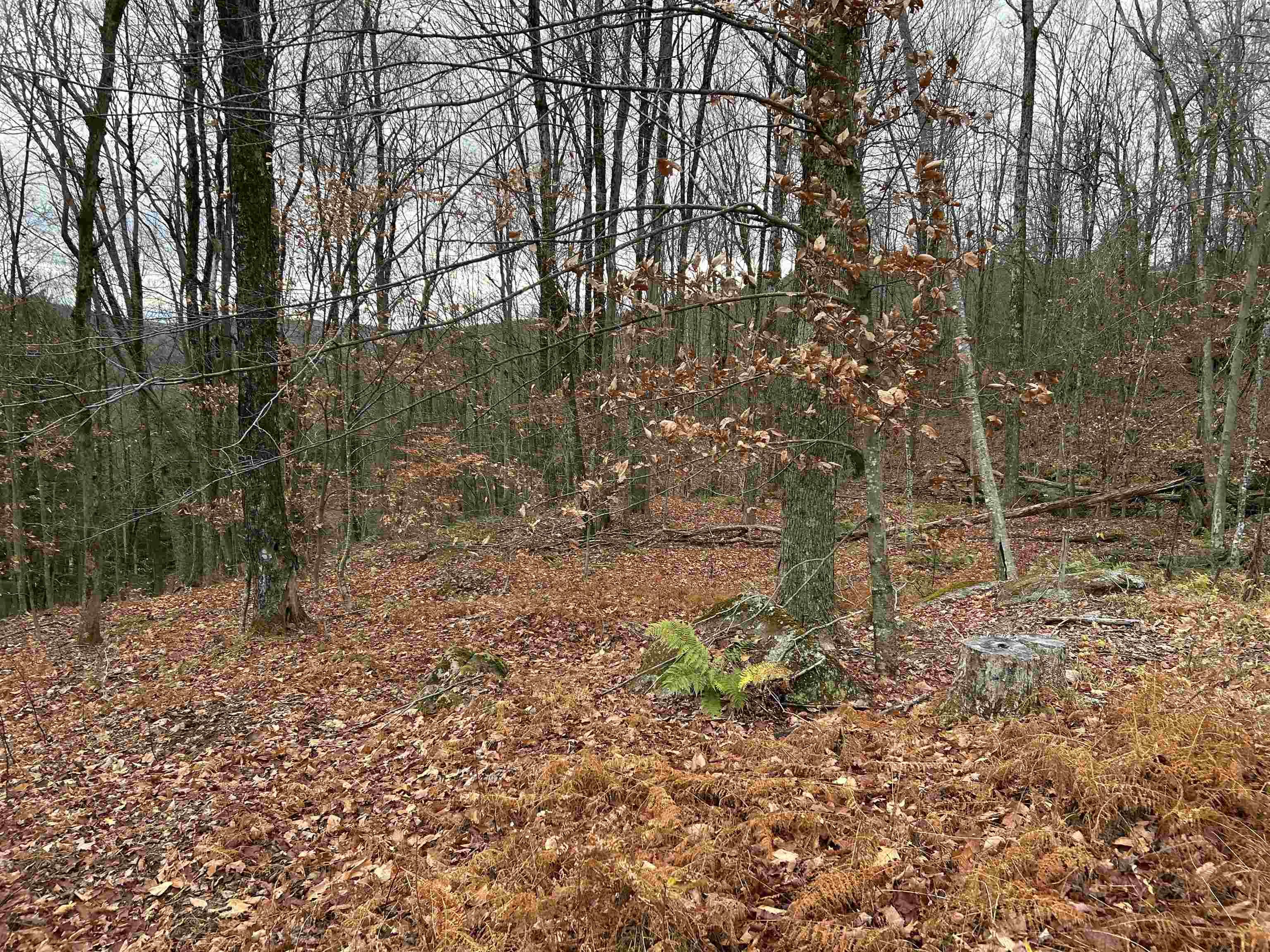 Pound Rd, Sutton, NH 03221