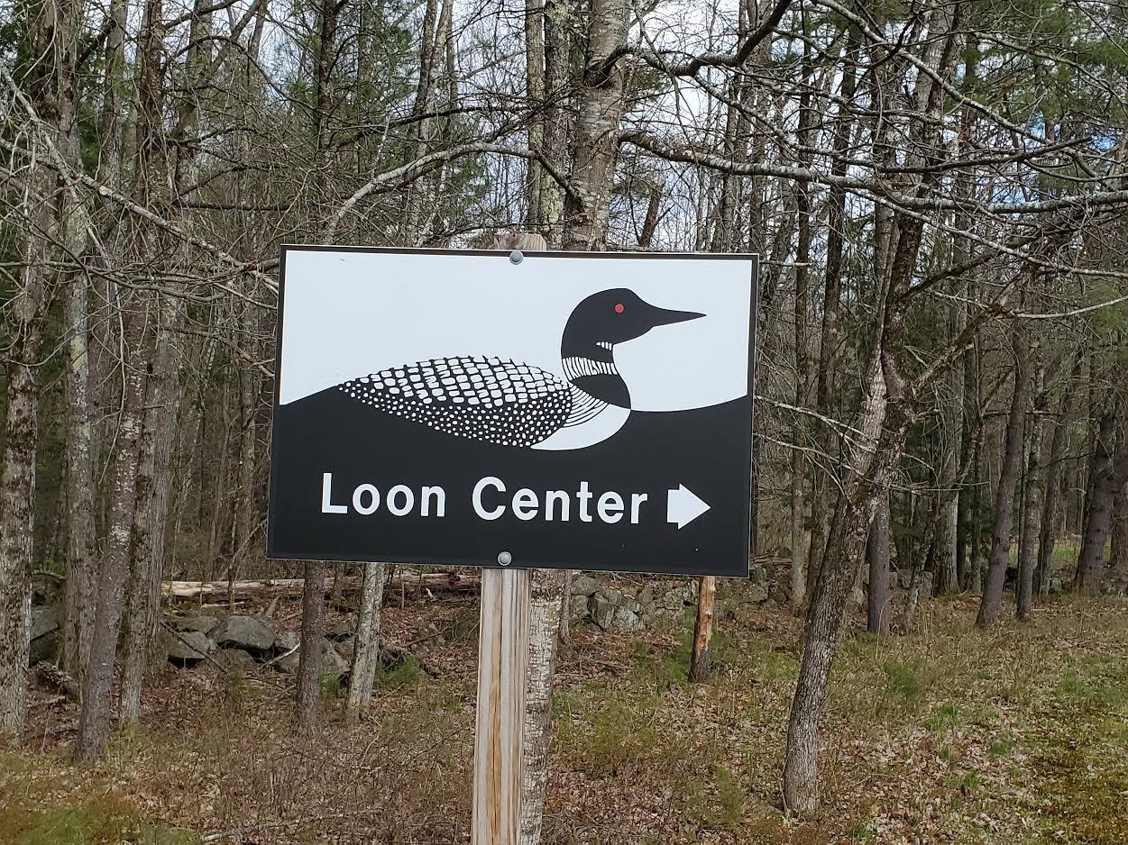 MLS #5069448 image #58