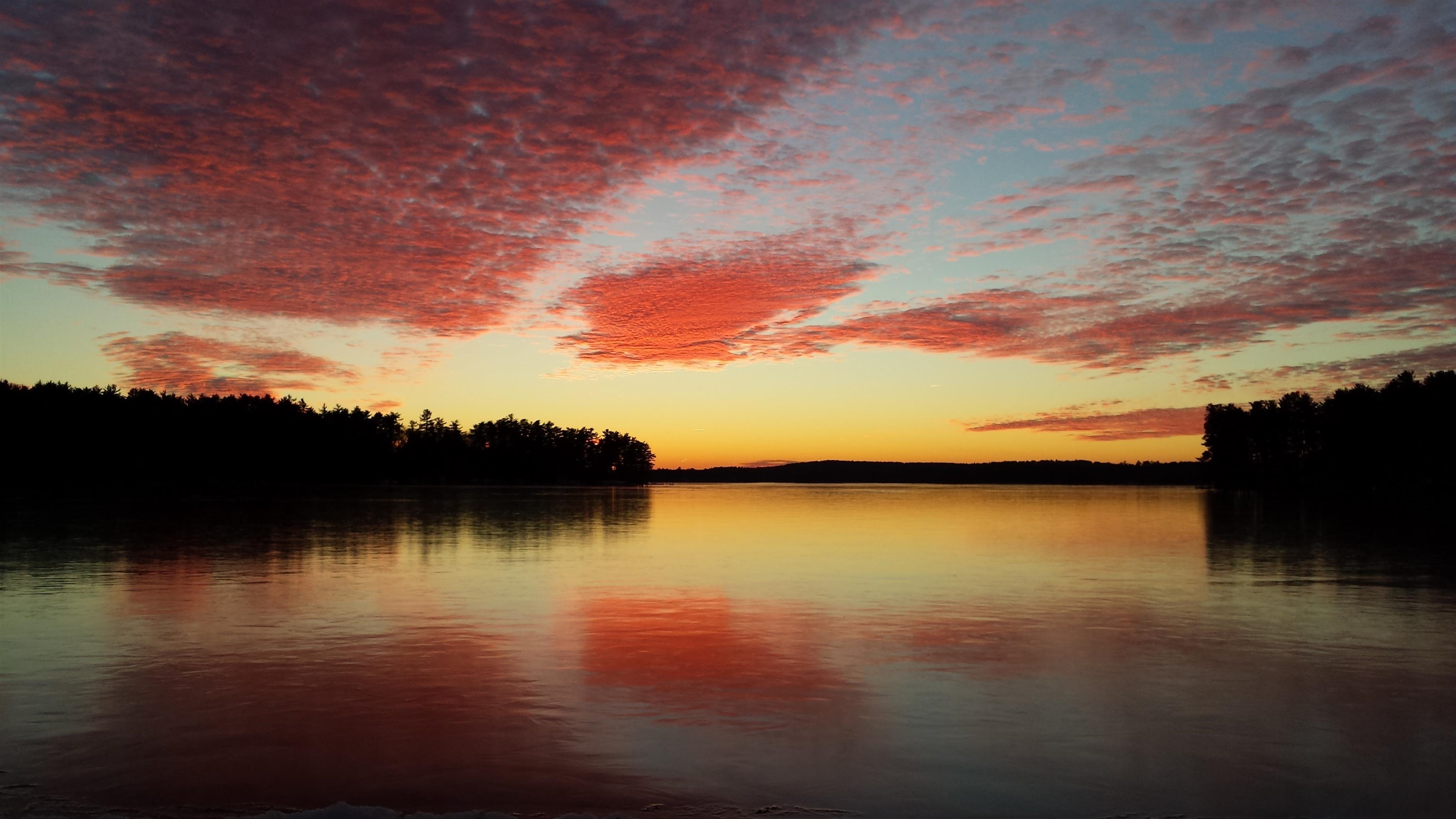 MLS #5069448 image #59