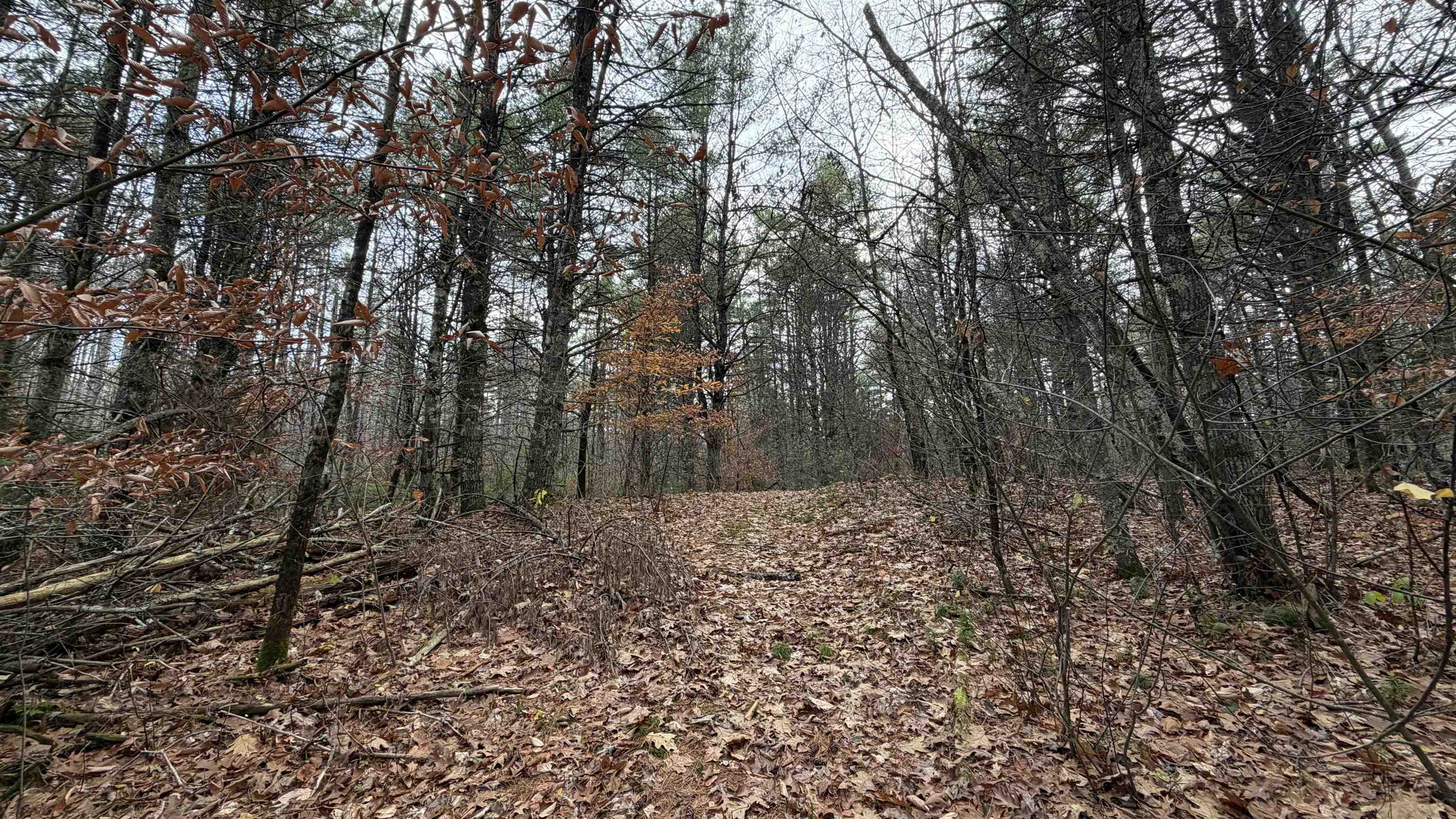 Webster NH&nbsp;Land for sale $$289,900 | 28.8 Acres  | Price Per Acre $0 