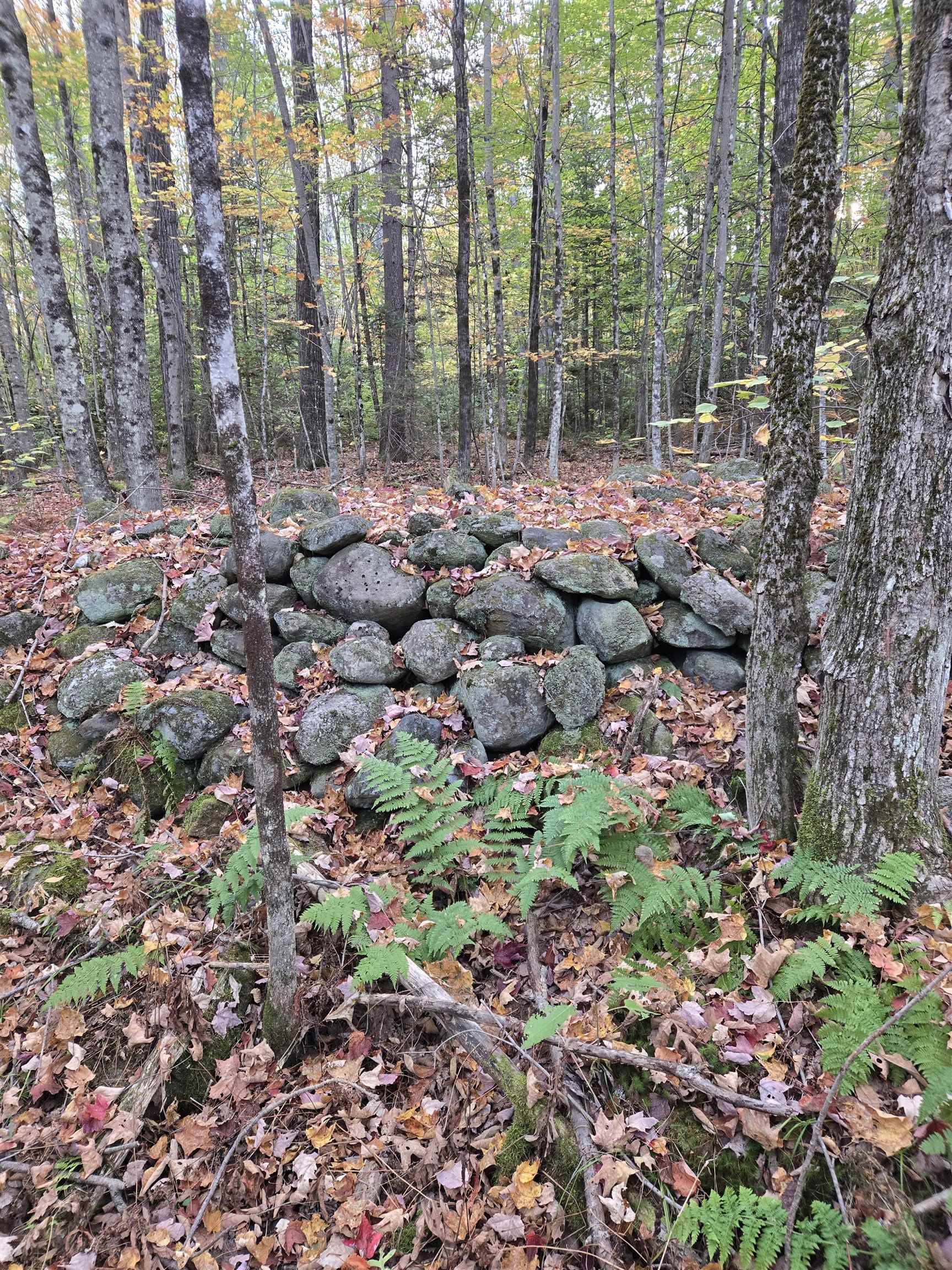 165 Bullocks Crossing Rd, Grafton, NH 03240