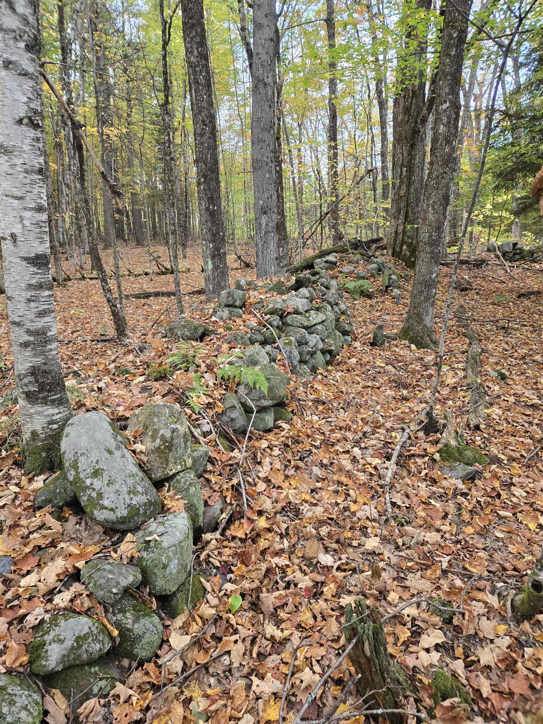 165 Bullocks Crossing Rd, Grafton, NH 03240