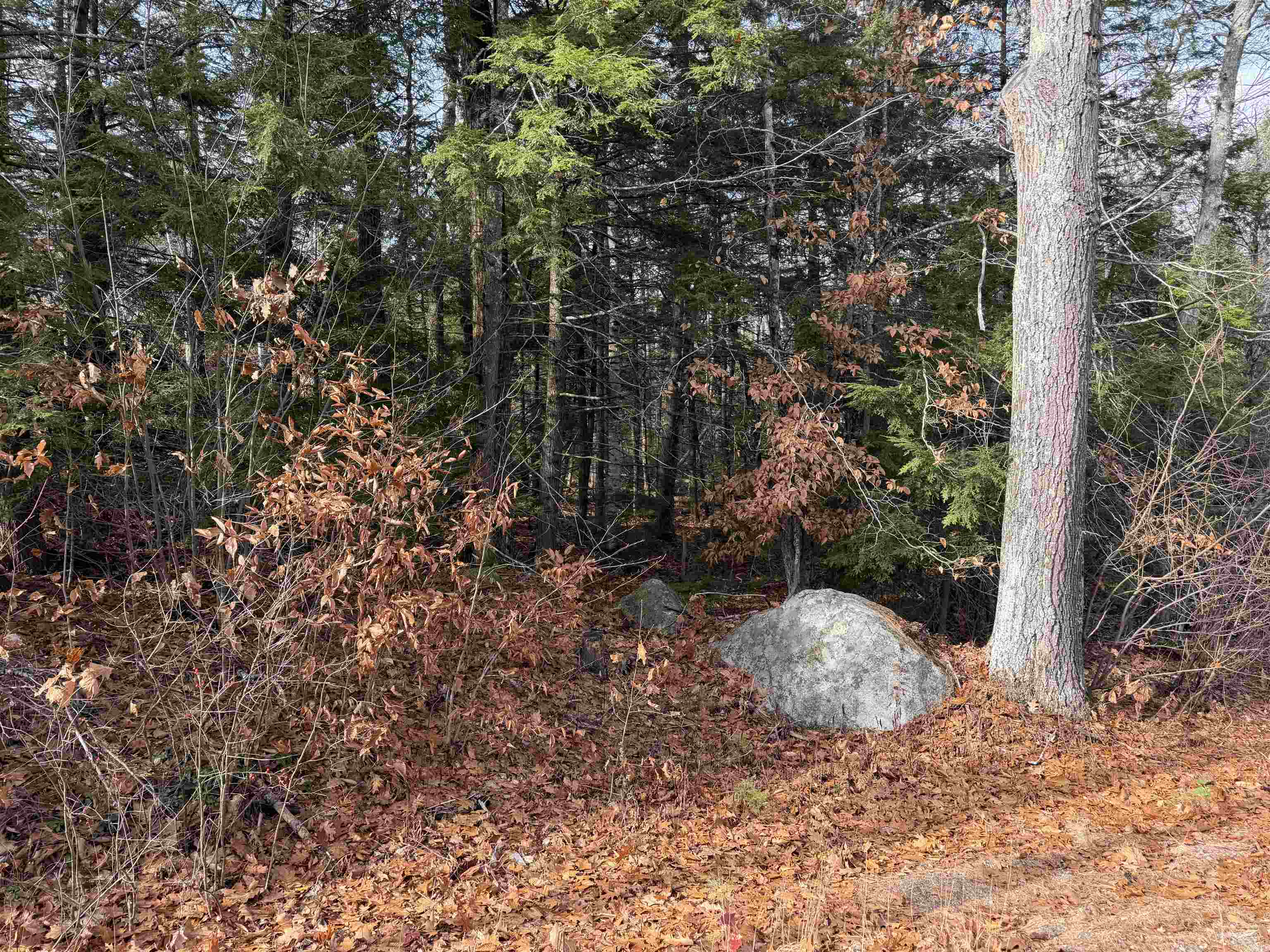Map 29 Lot 5-1 Middleton Rd, Milton, NH 03851