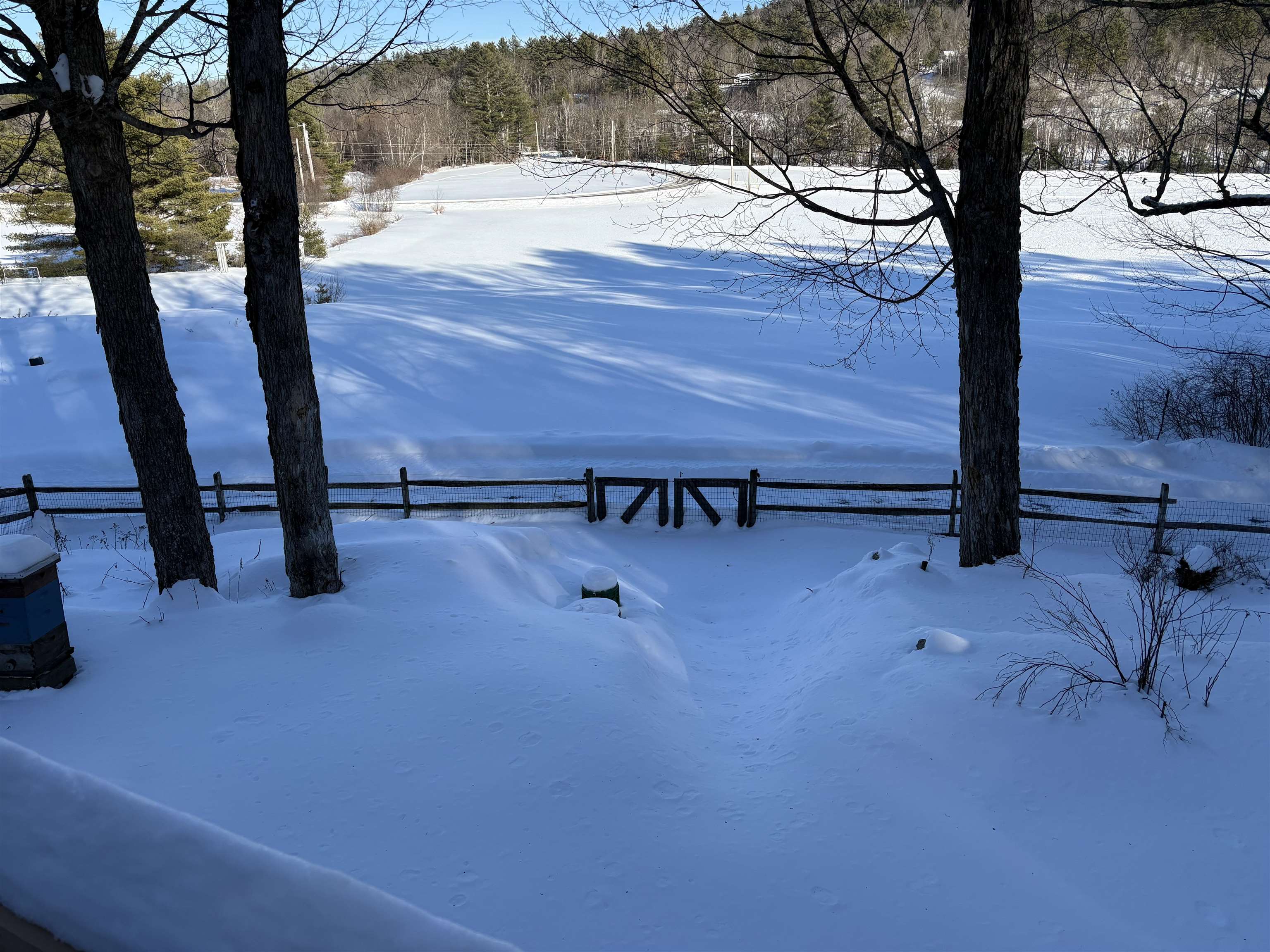 119 Shedd Rd, Grantham, NH 03753